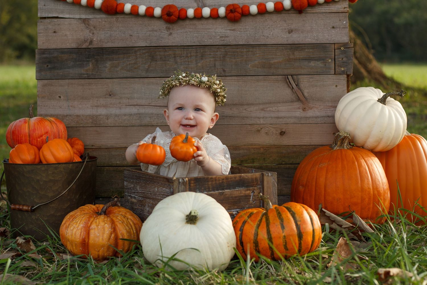 Baby girl sitting among pumpkins with fall themed setup – Chattanooga baby milestone photographer.