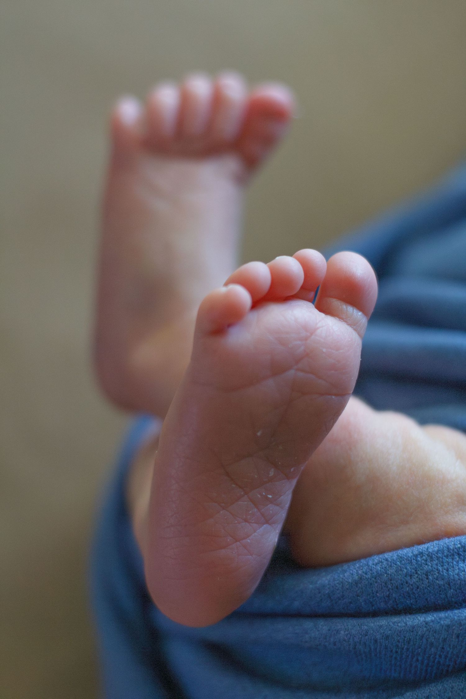 Newborn baby foot details during in home newborn session - Dalton Georgia Newborn Photographer