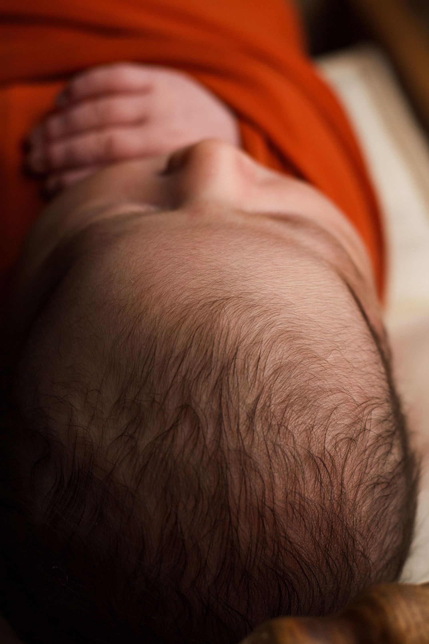 Closeup detail of baby boys hair during a Dalton Georgia newborn session