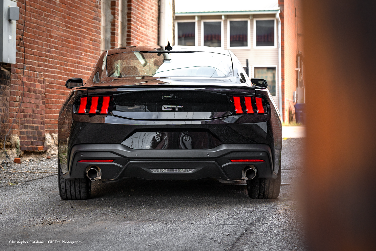 2024 Ford Mustang GT 5.0 Rear End