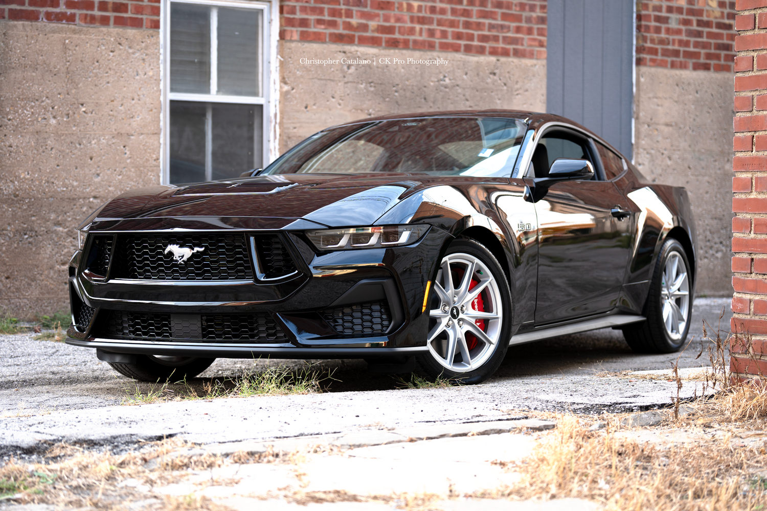 2024 Ford Mustang GT 5.0 Alley Cat