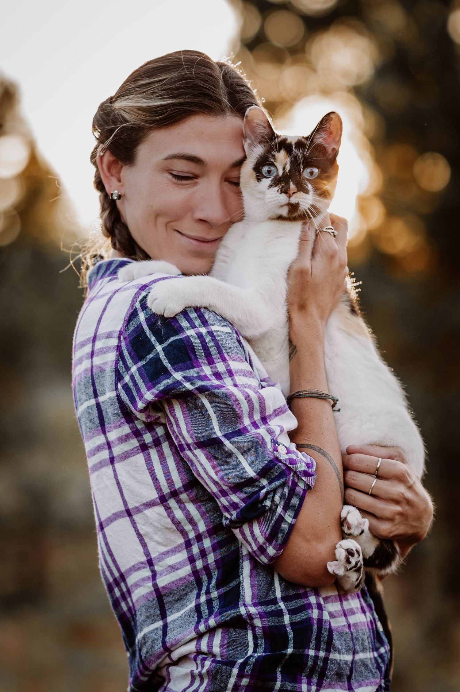 Cat photography