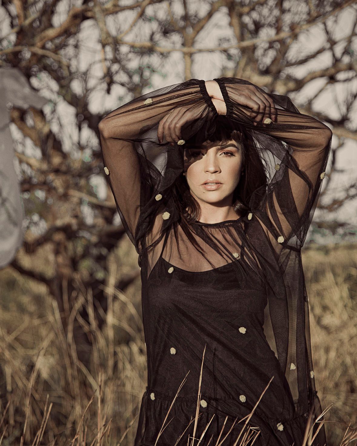 A person in a sheer black dress poses outdoors in front of bare tree branches at golden hour.