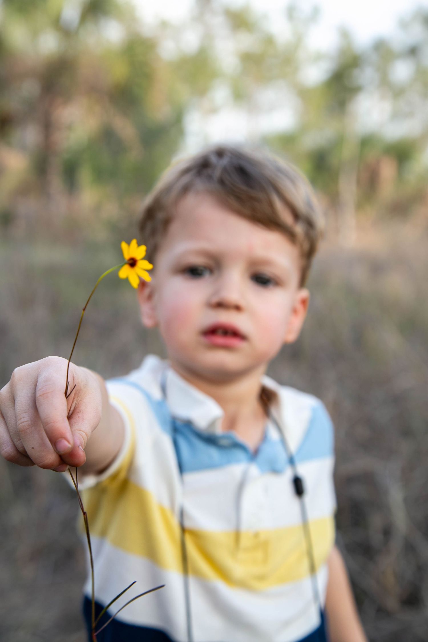 Young boy in striped shirt holding up a small yellow wildflower.