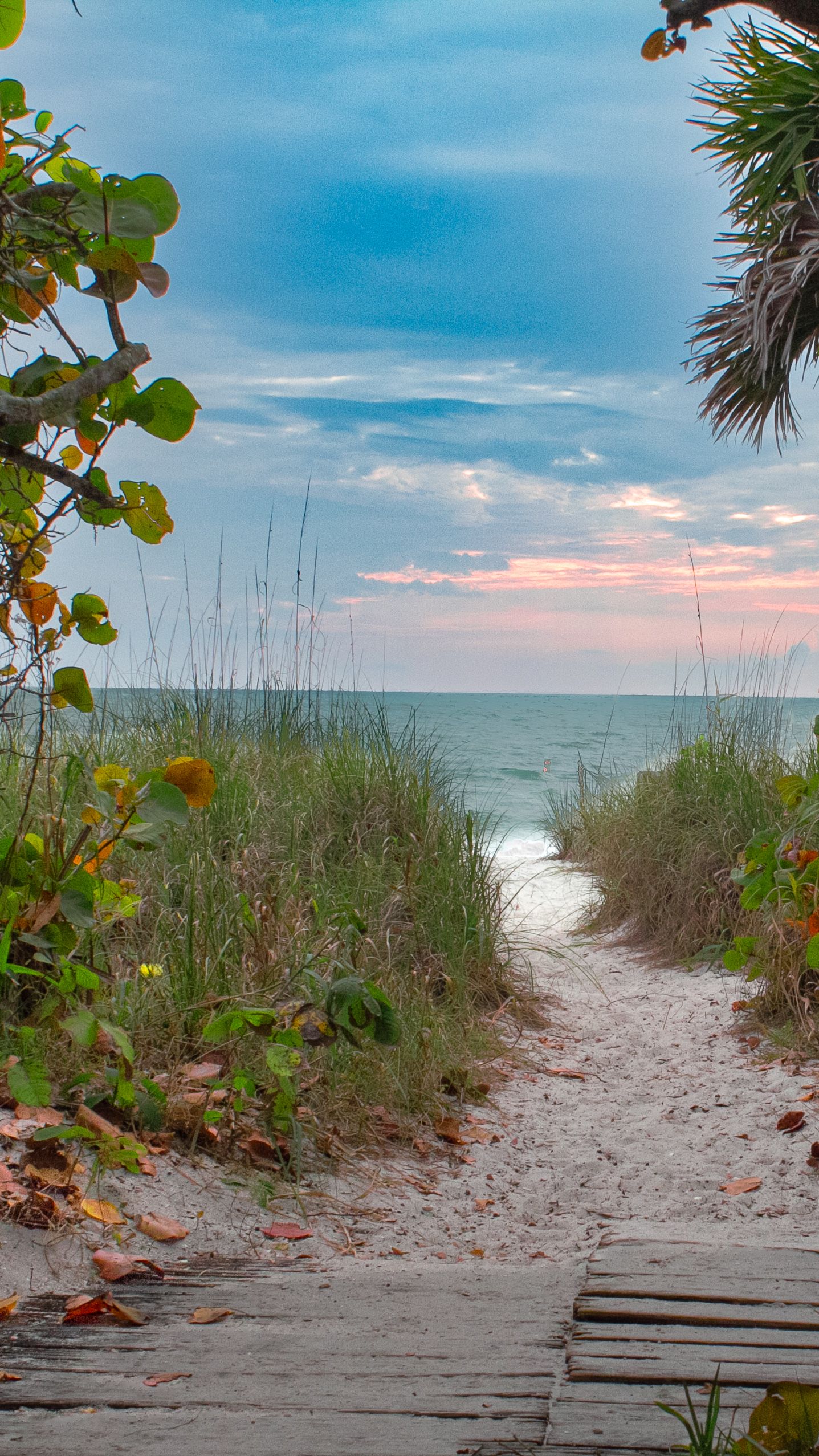 Sandy pathway through sea oats and beach vegetation leads to the ocean under a pastel blue sky at sunset.
