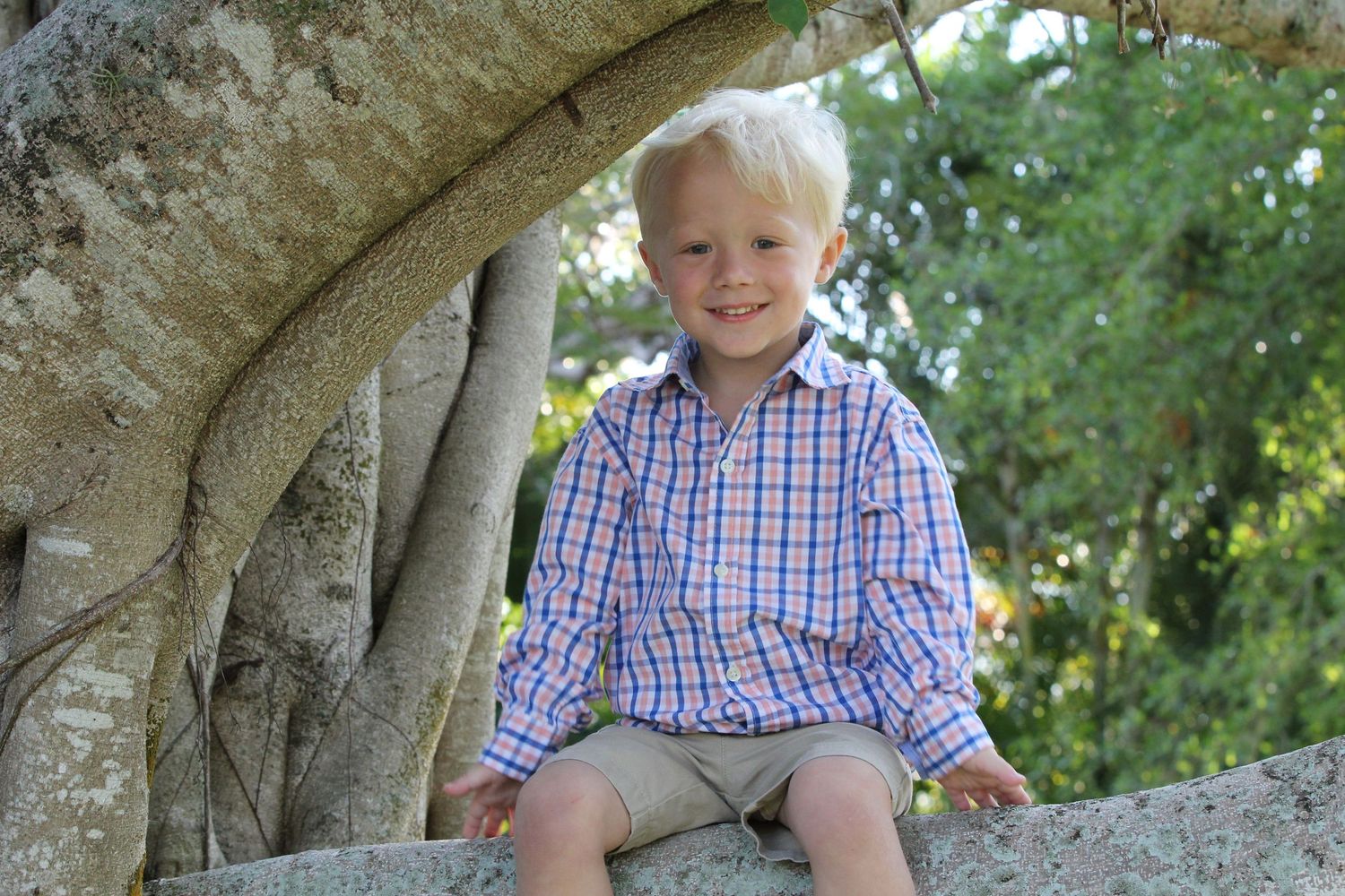 Young boy in plaid shirt sits on tree branch smiling at camera.