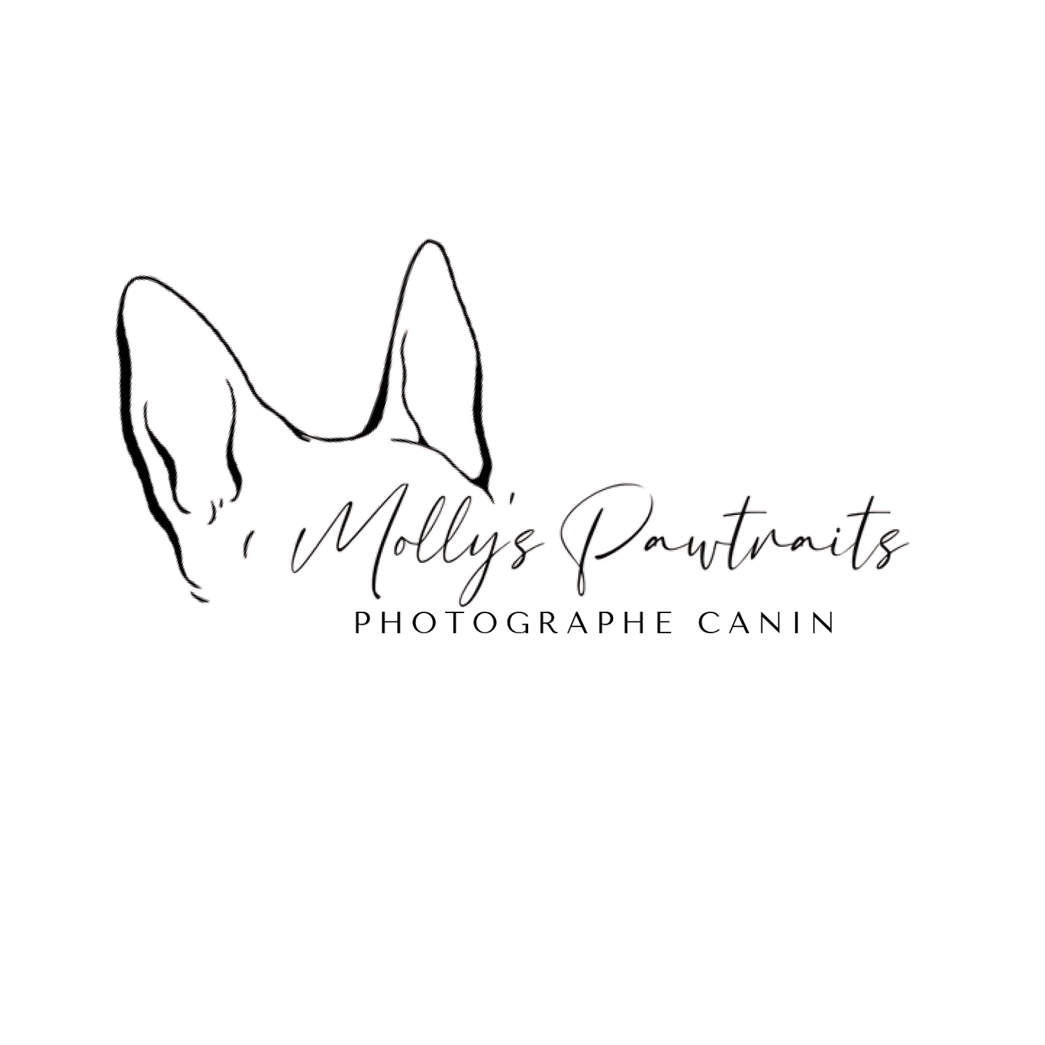 Logo de Molly's Pawtraits de couleur noire, la signature de mes photos