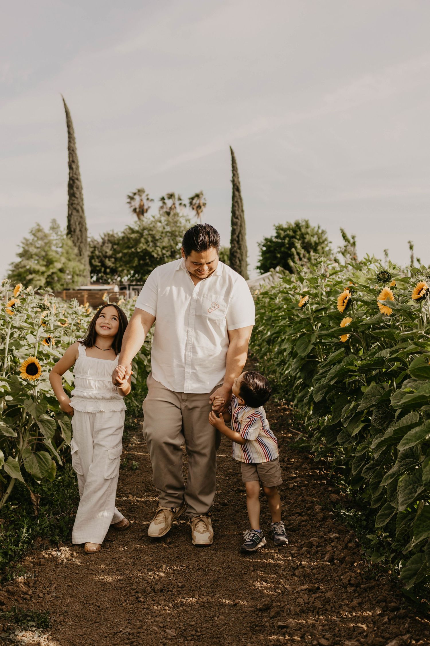 A family walks together on a dirt path between rows of tall sunflowers and cypress trees on a cloudy day.
