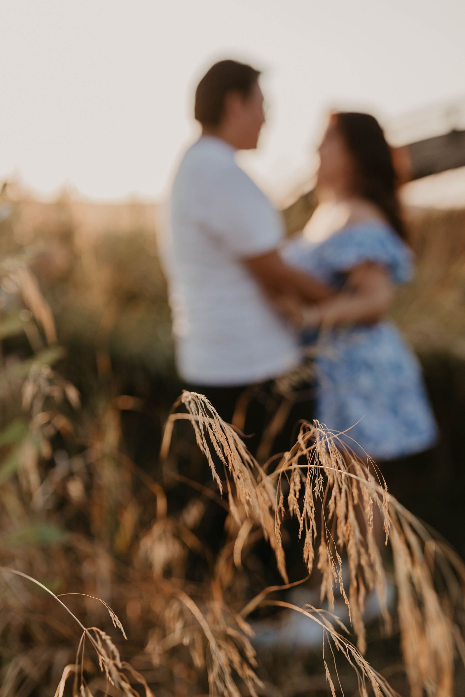 A romantic couple embraces in a field of tall grass during golden hour sunset.