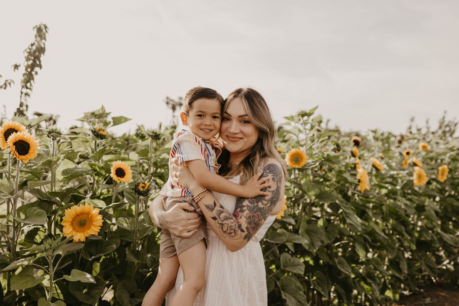 A warm embrace amongst vibrant sunflowers in a golden field during sunset.