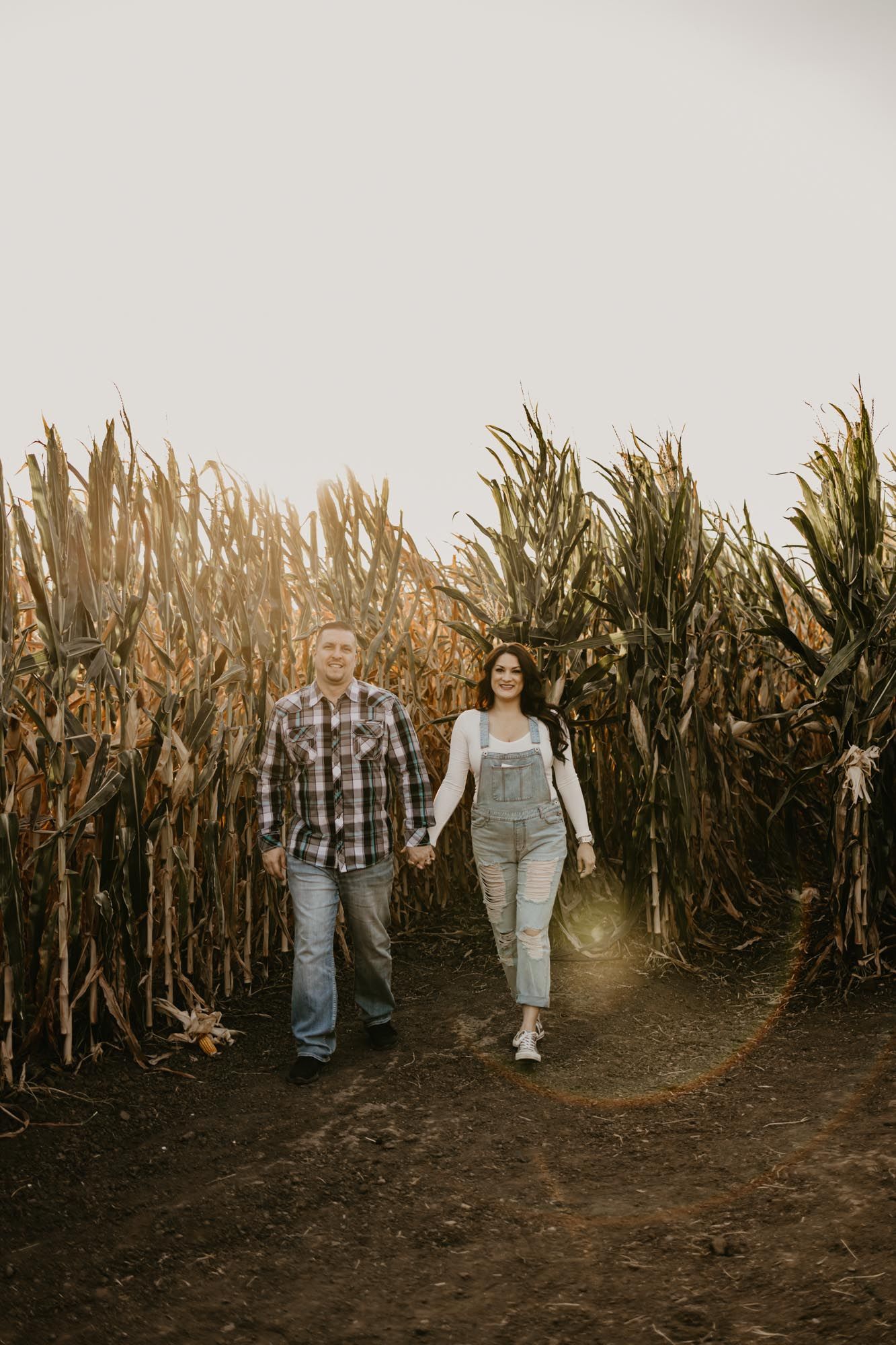 A couple walking hand in hand through a path between tall corn stalks at sunset.