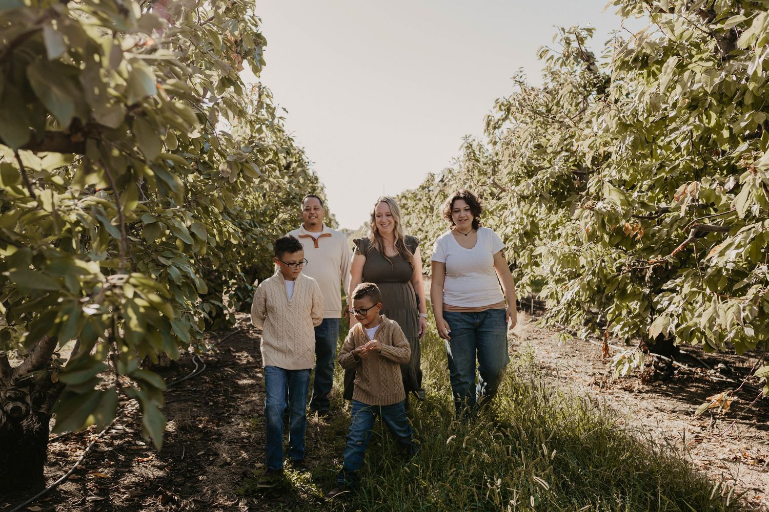 Family walking through lush orchard rows on a sunny day, surrounded by fruit trees in a scenic farm setting.