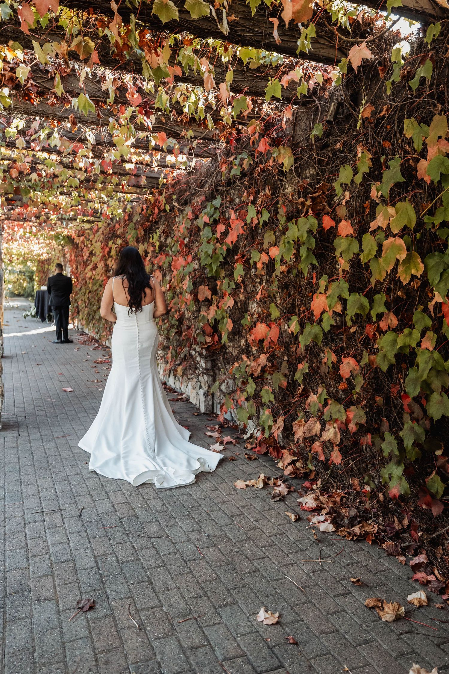 Wedding couple poses against wall covered in colorful autumn ivy leaves.