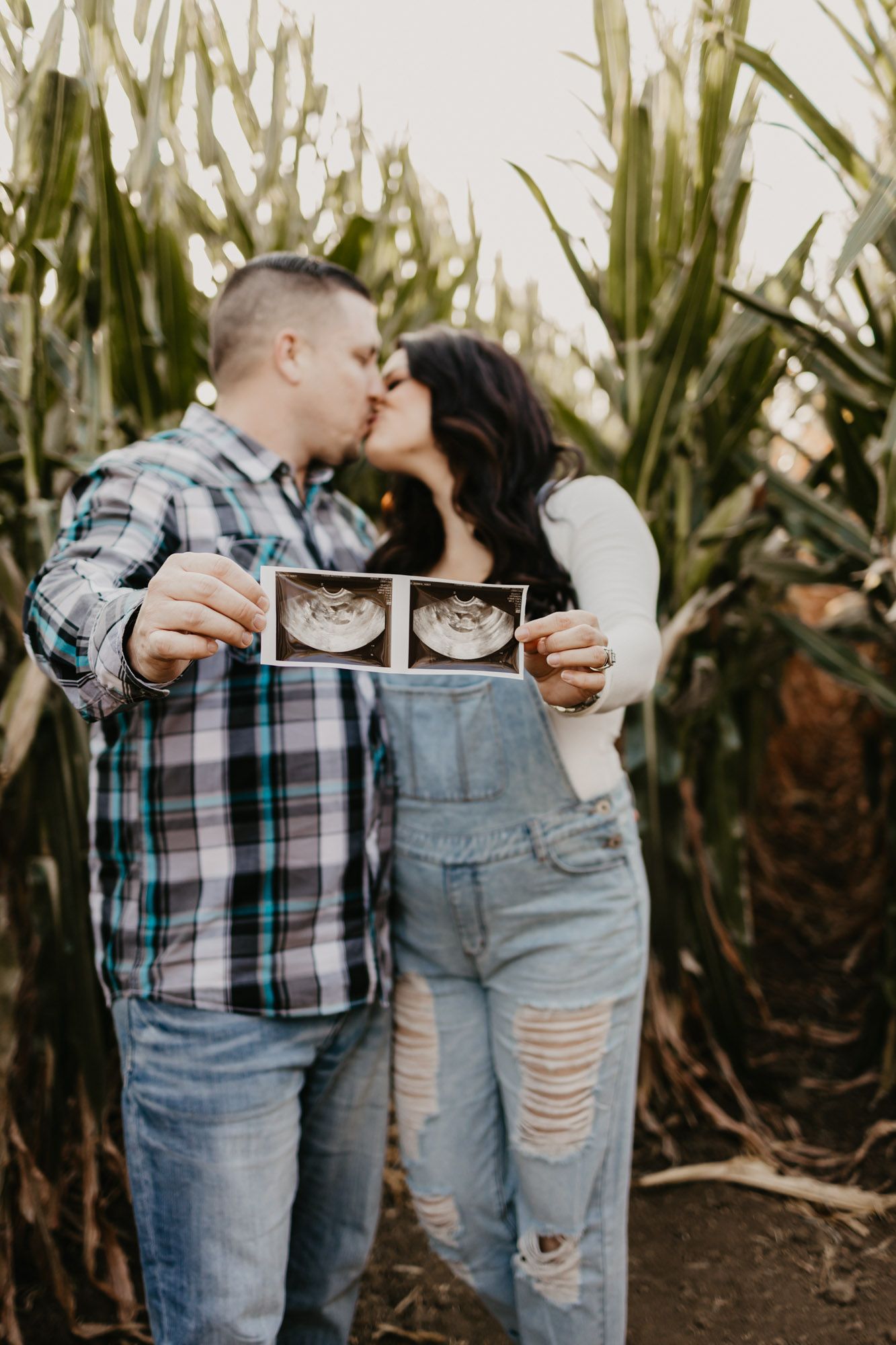 Couple sharing a kiss while holding ultrasound photos in a rustic cornfield setting.