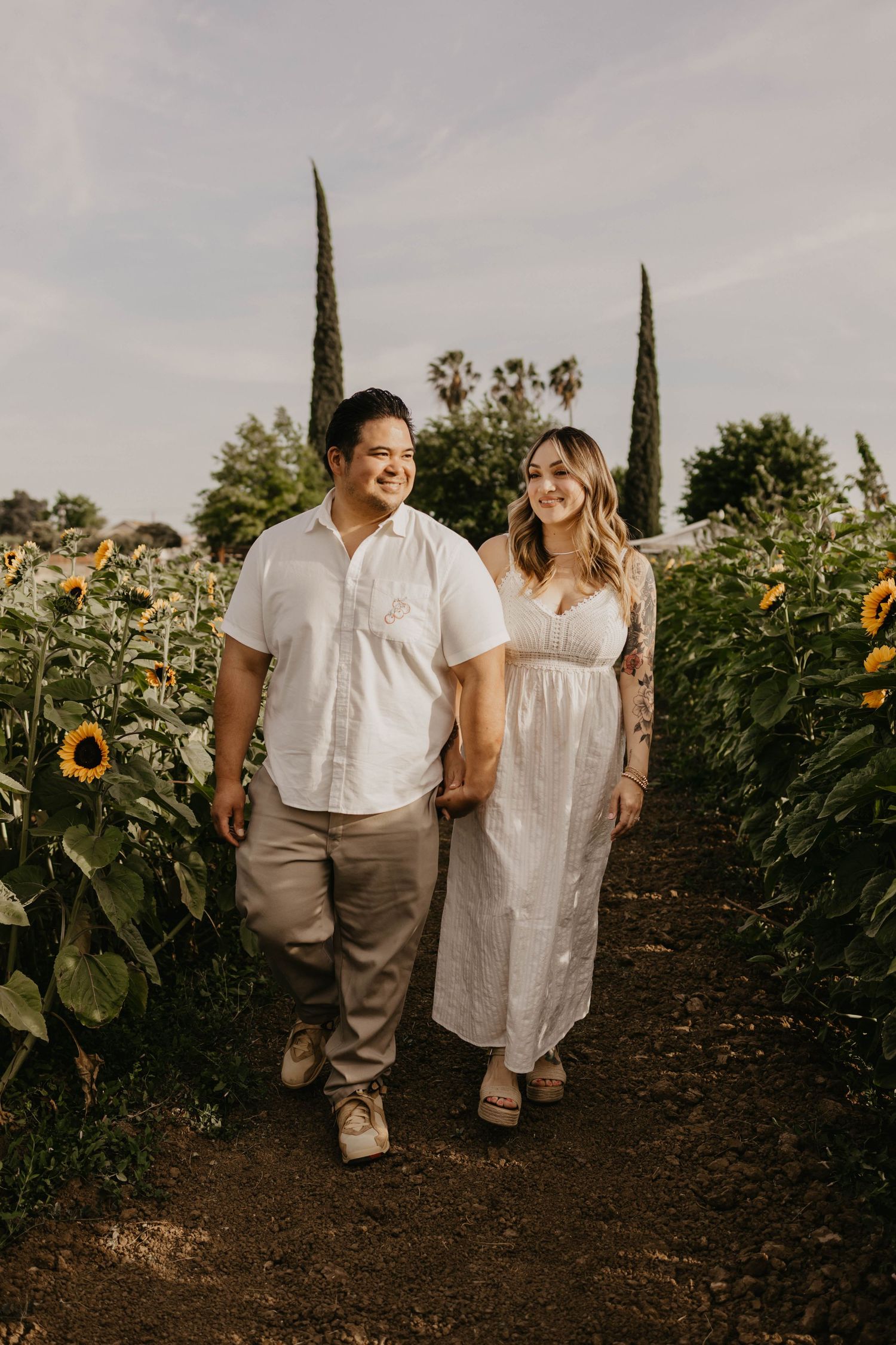 A couple holds hands while walking through a sunflower field at sunset with tall cypress trees in the background.