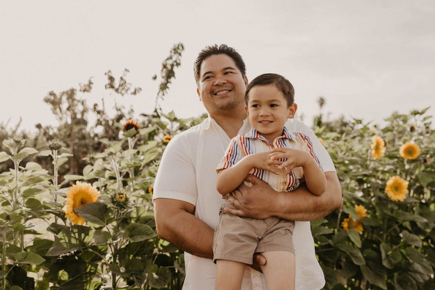 Parent and child share a joyful moment together in a blooming sunflower field at sunset.