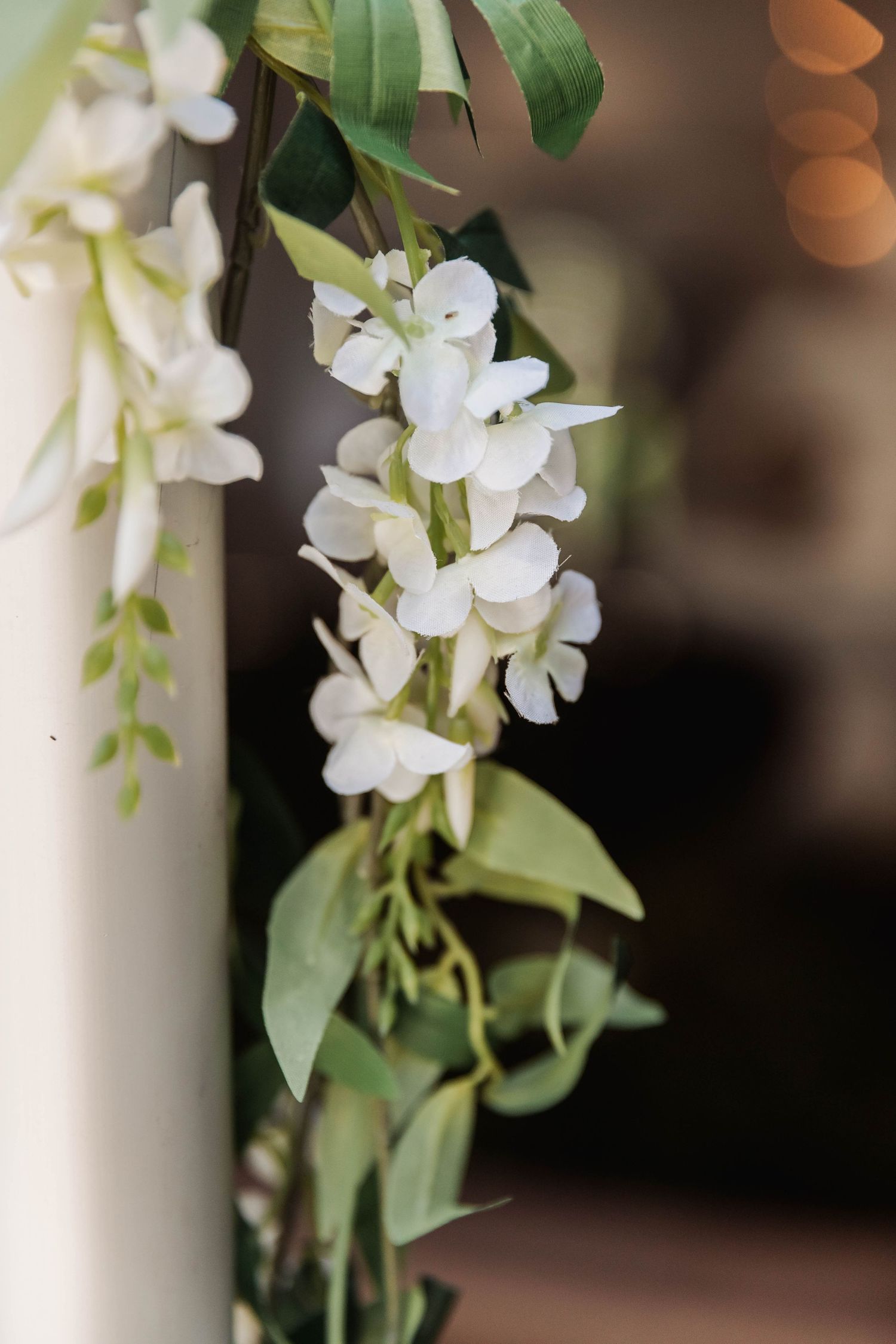 White orchid blooms with green leaves against a softly blurred background.