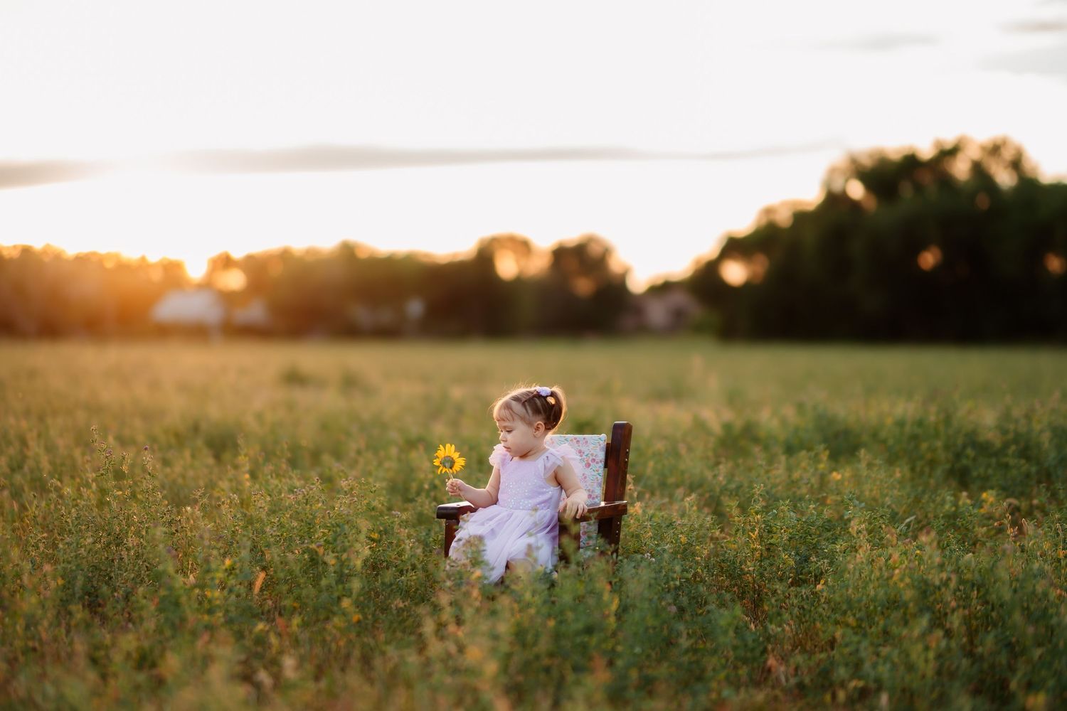 A person in a white dress twirls gracefully in a sunlit meadow during golden hour.