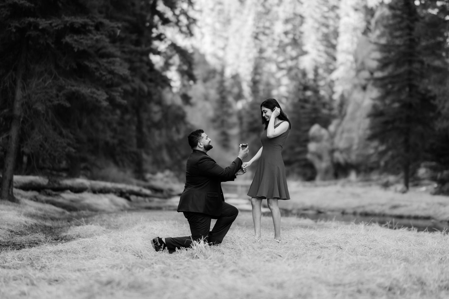 Black and white photograph of surprise marriage proposal in scenic mountain meadow.