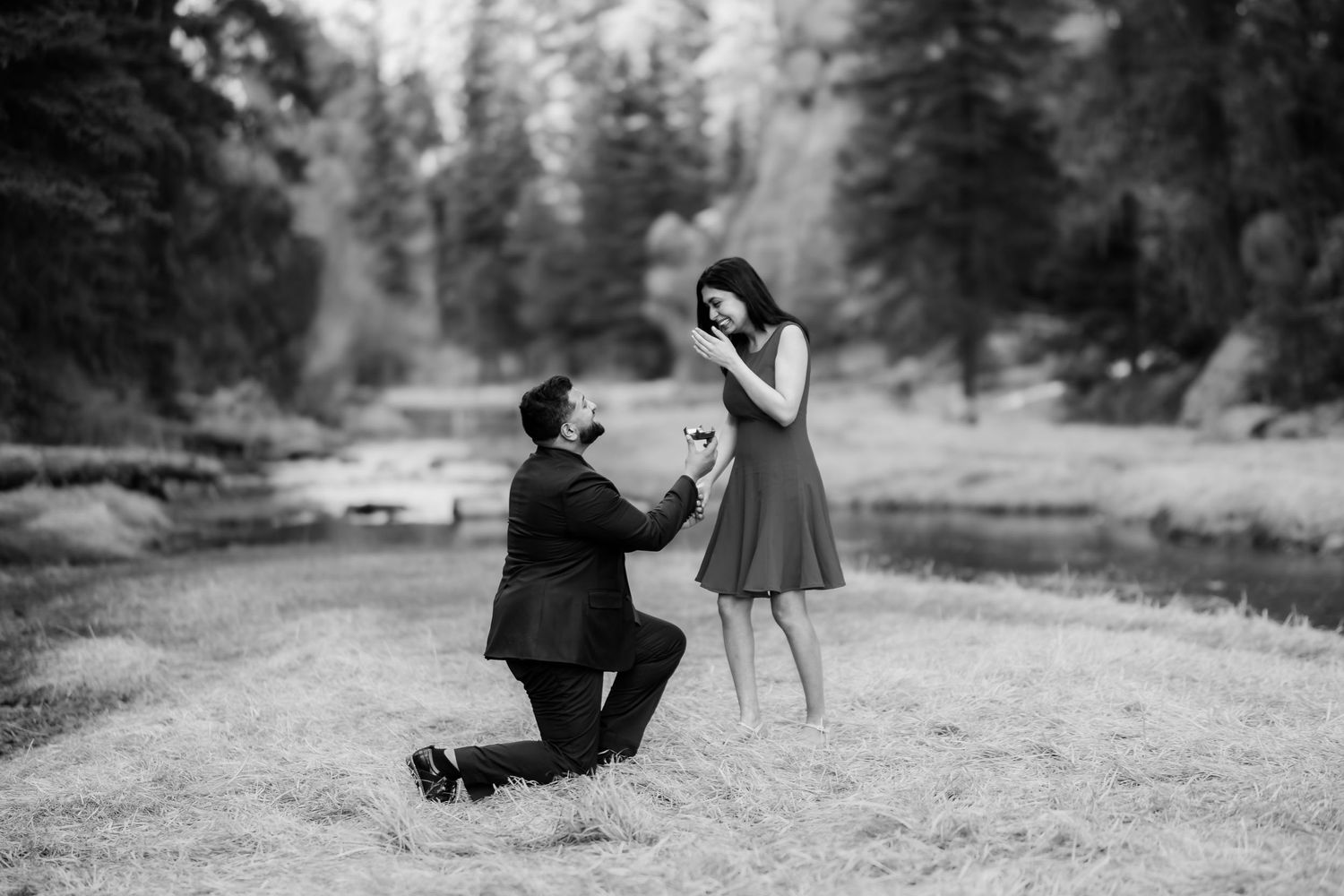 Proposal moment captured in black and white as person kneels on one knee in forest clearing.