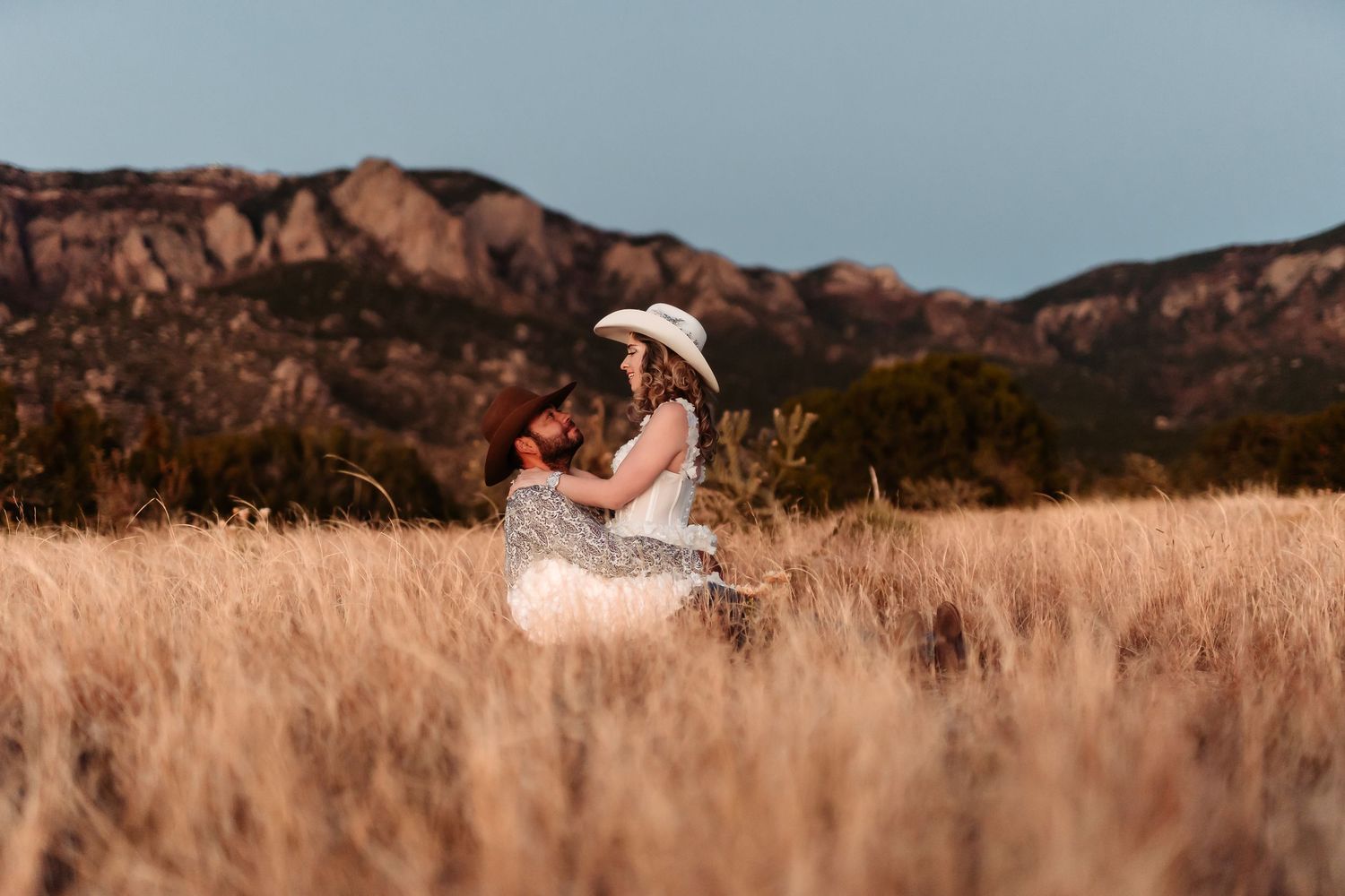 A scenic mountain landscape with golden grass fields stretches across multiple connected panoramic views at sunset.