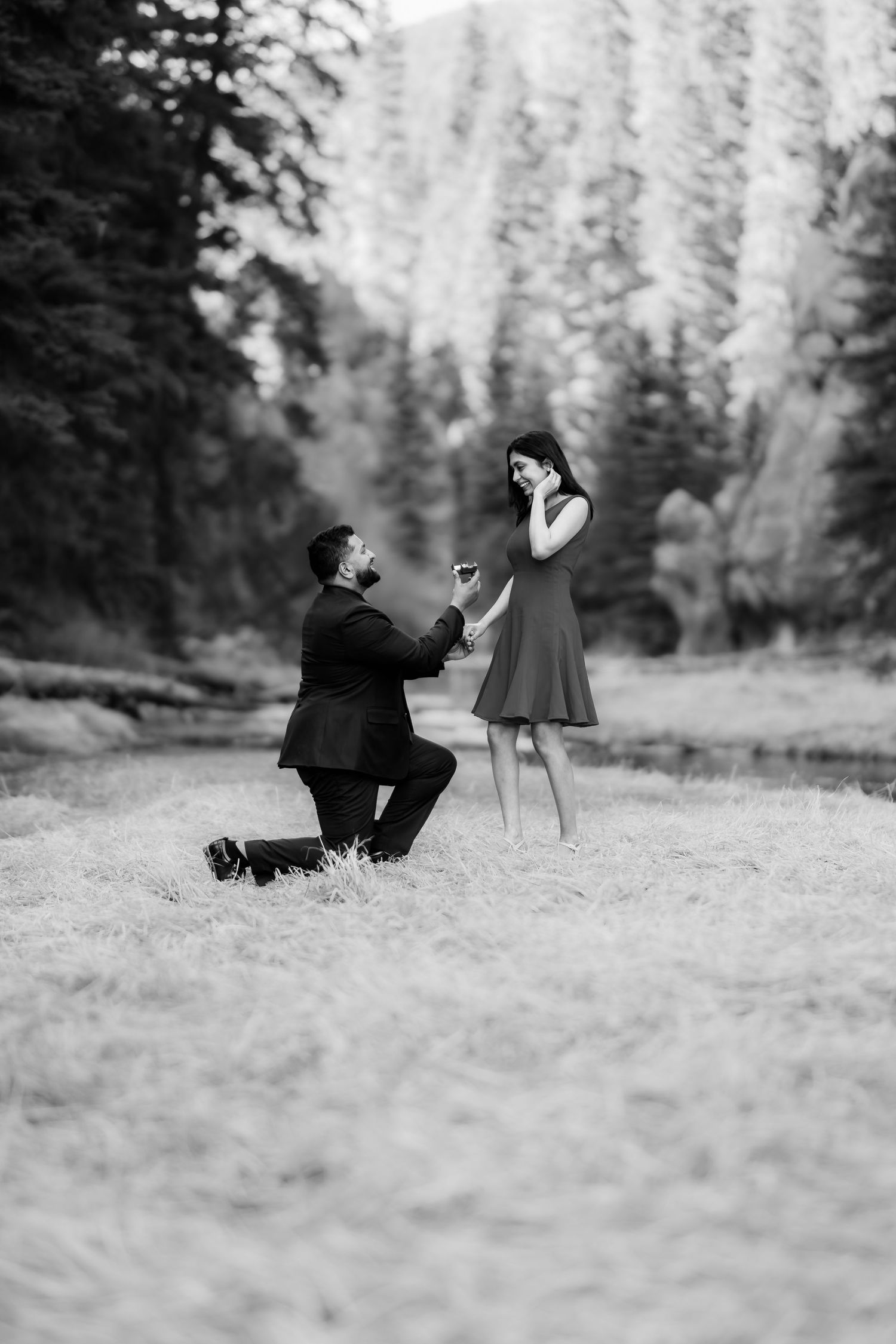 A romantic marriage proposal moment captured in a forest clearing with dramatic mountain backdrop.