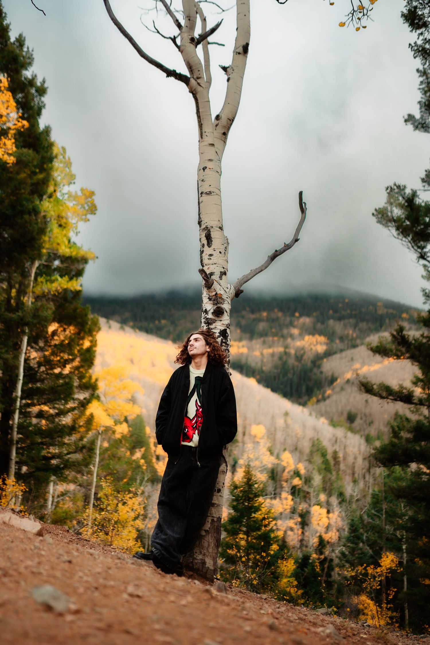A scenic autumn mountainside view with a birch tree and golden foliage against moody storm clouds in the distance.