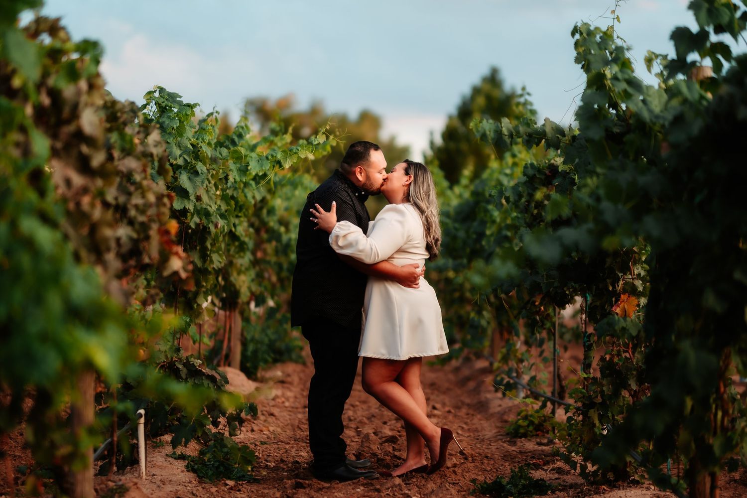 A romantic moment captured between two people embracing in a vineyard at sunset.
