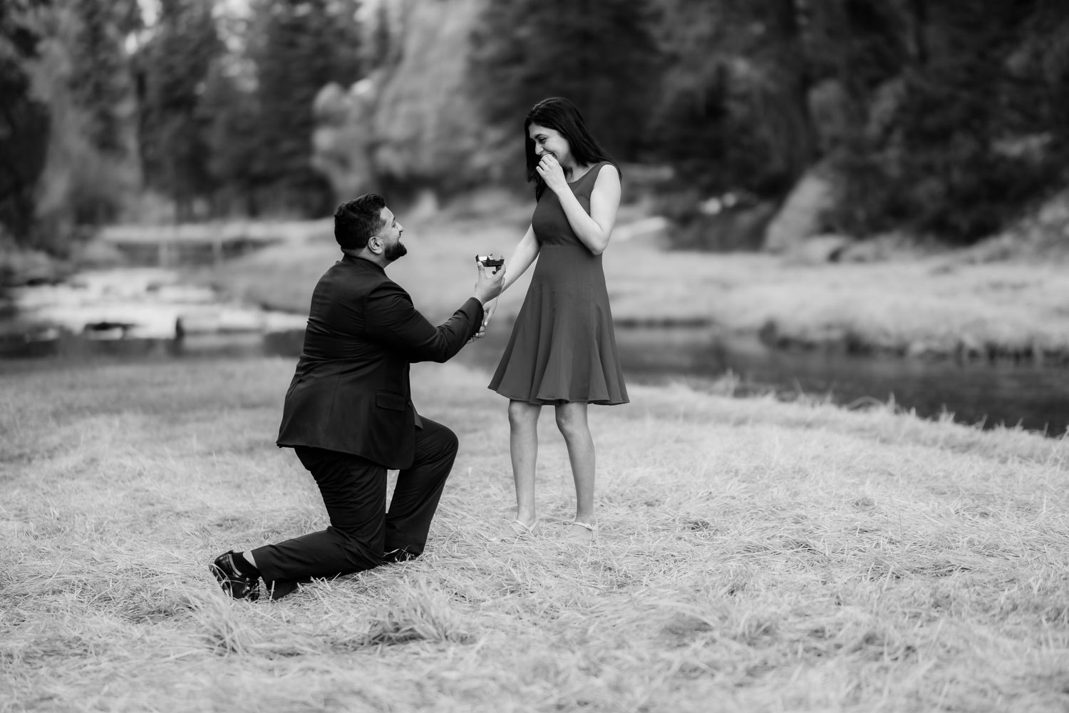 A black and white capture of a romantic proposal in a serene outdoor setting.
