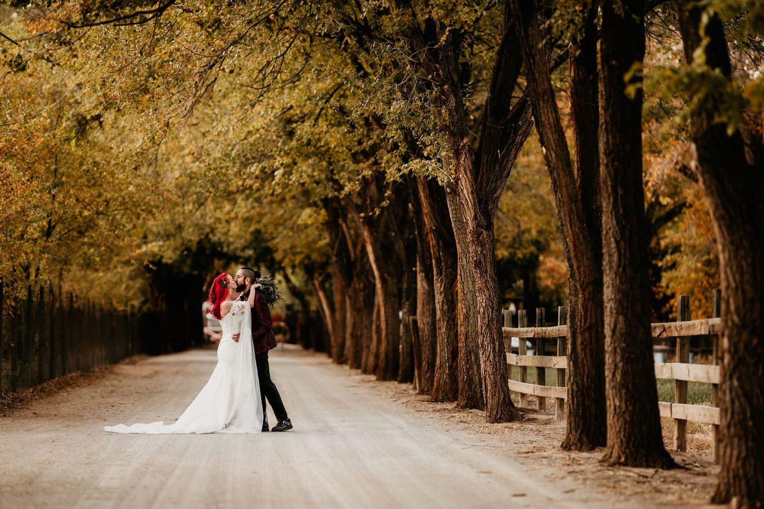 A romantic fall scene on a tree-lined path with sunlight filtering through autumn leaves.