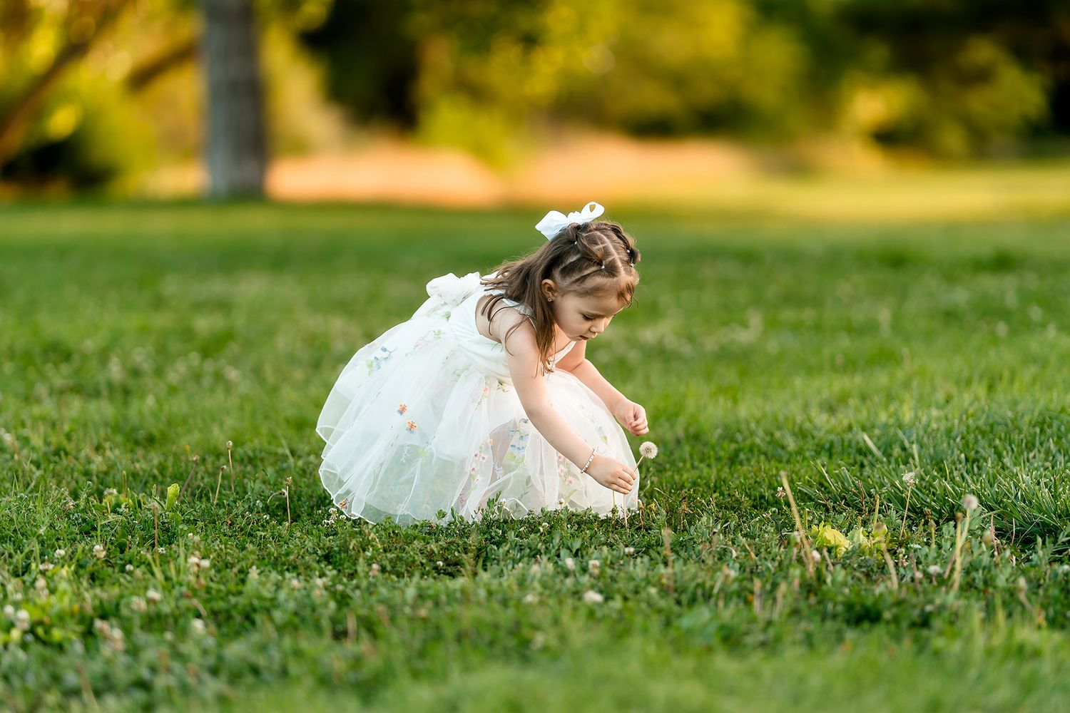 A young girl in a white tulle dress sits on lush green grass in a sunny park, looking down curiously.