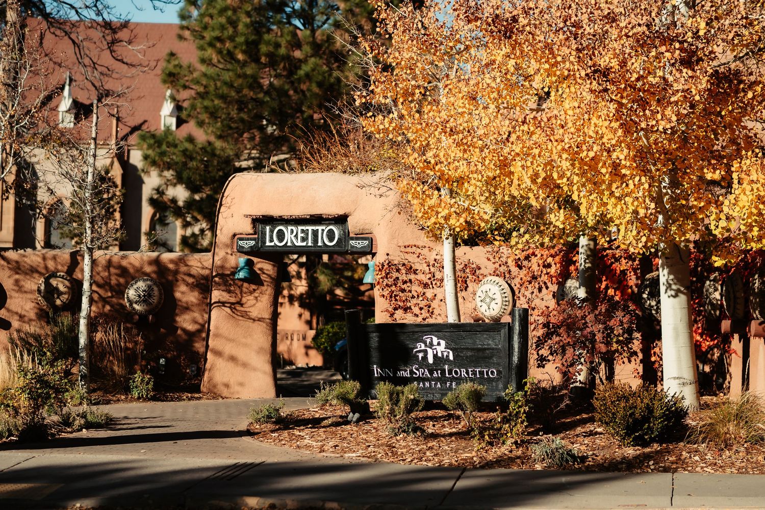 A panoramic view of autumn trees with golden leaves lining a residential street on a sunny day.