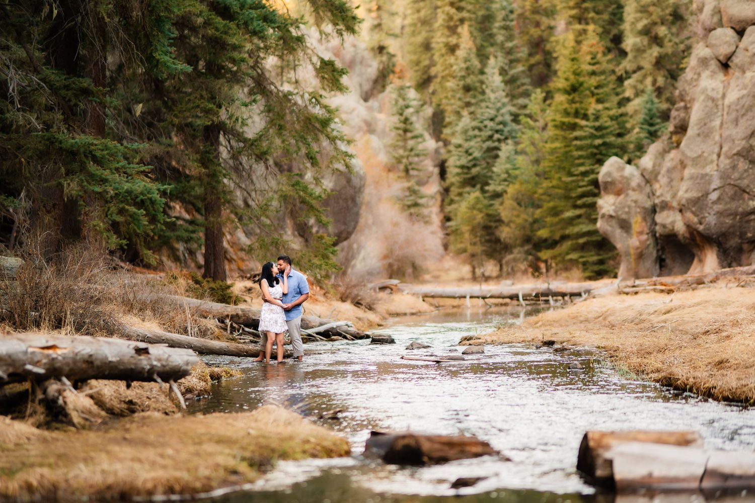 A romantic scene by a mountain stream surrounded by evergreen trees and rocky cliffs.
