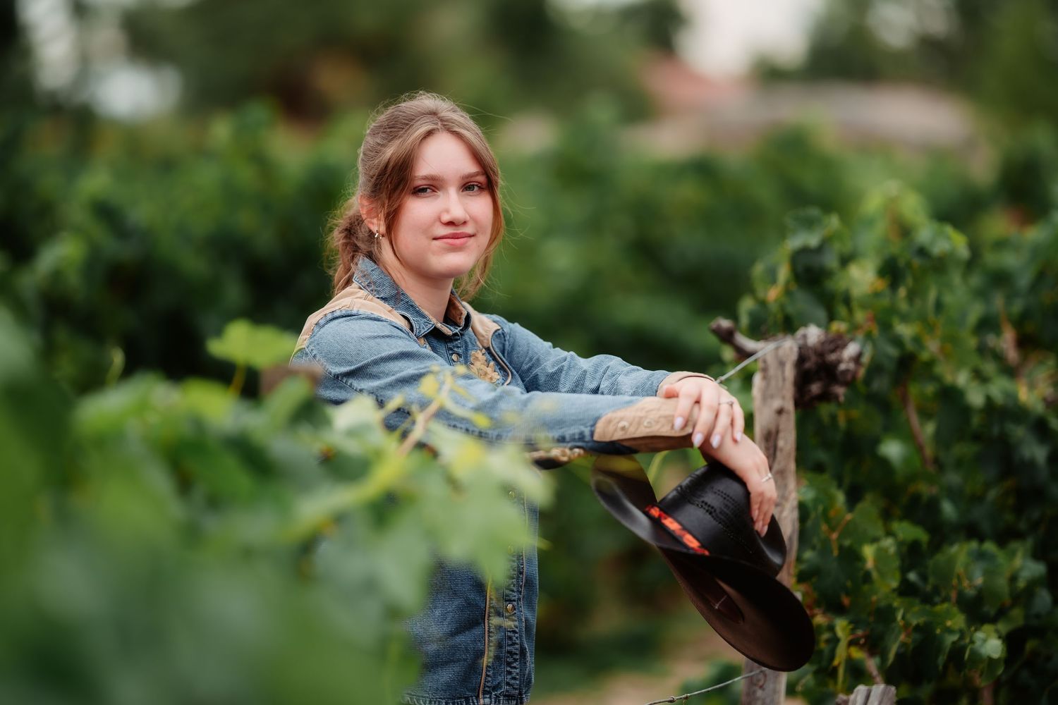 A person harvests fresh grapes from lush green vines during wine harvest season in a vineyard.