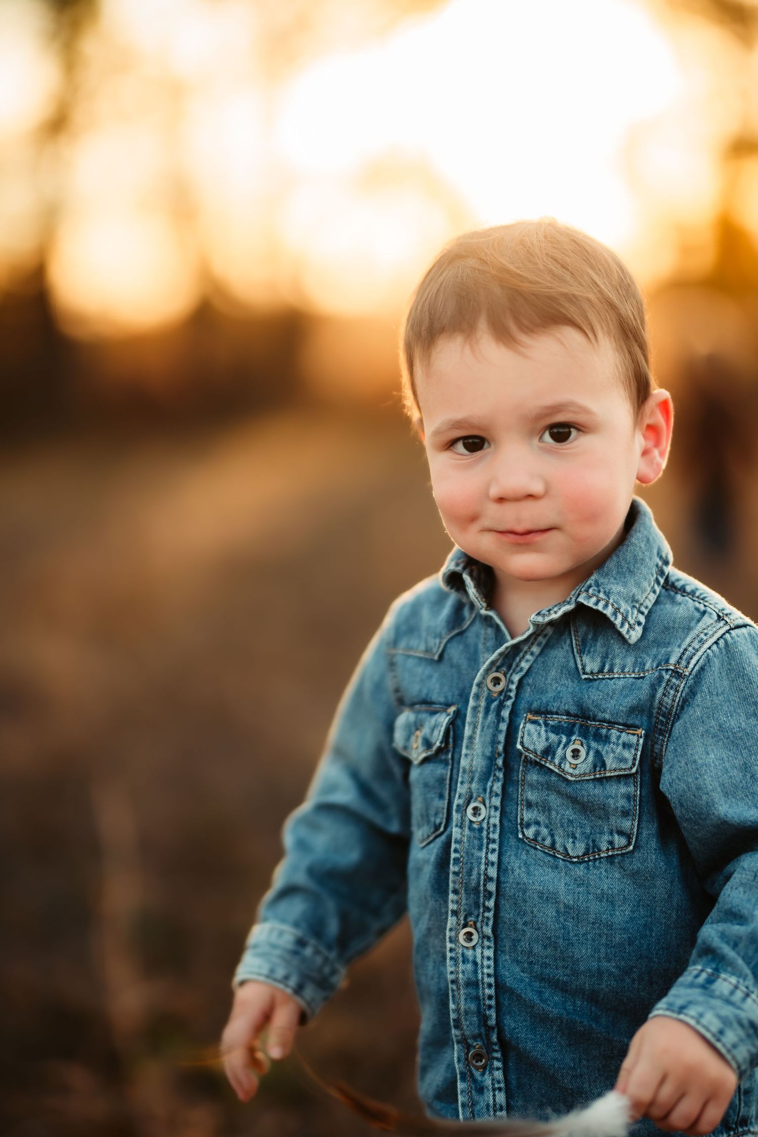 A series of connected photos showing a child in a denim jacket at sunset with warm golden bokeh lighting in the background.