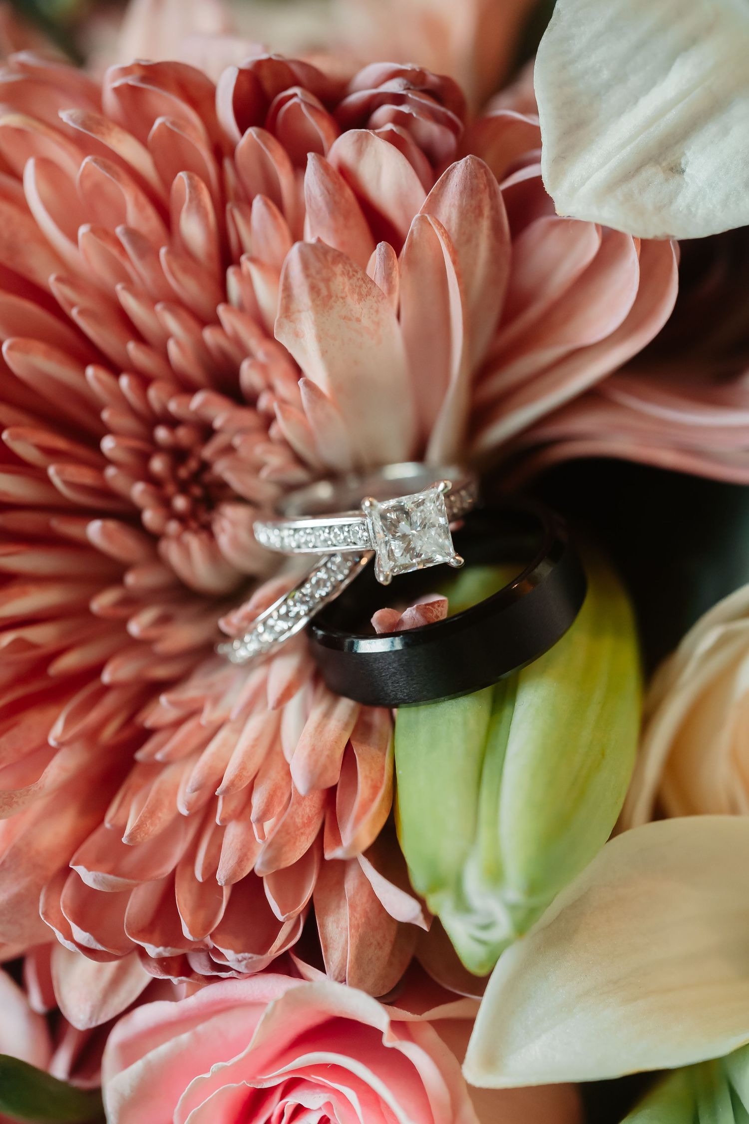 Wedding rings artistically photographed with pink chrysanthemums and white flowers.