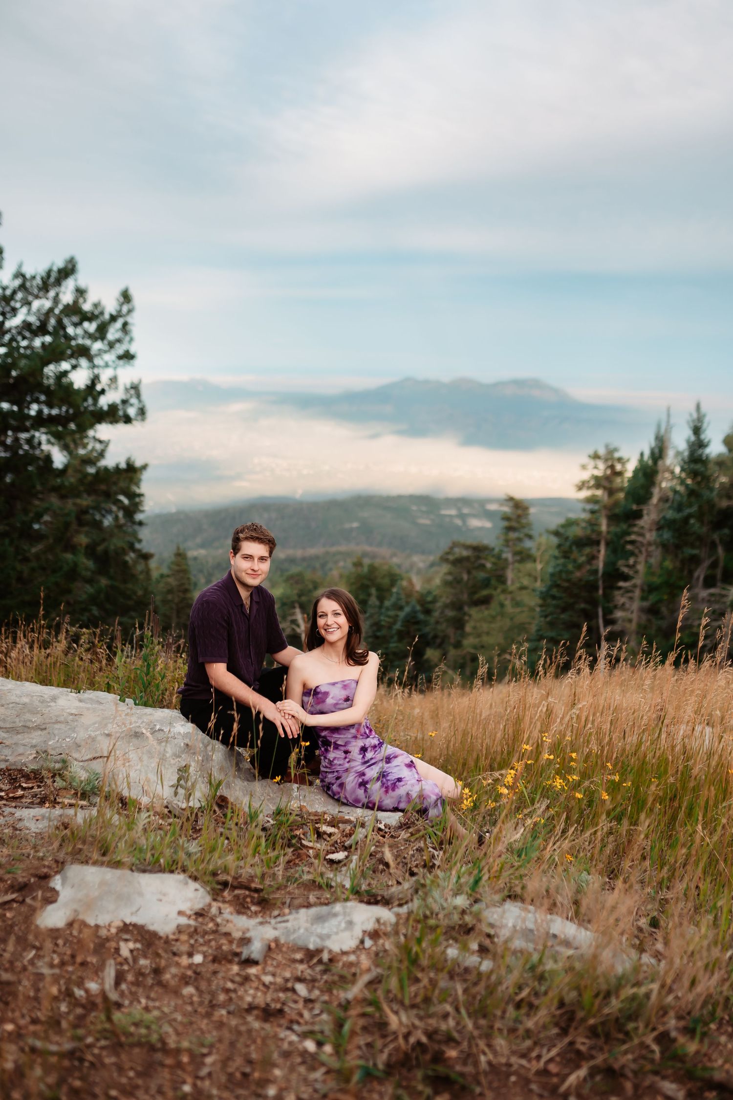 Scenic mountain vista with wildflowers and exposed rock formations.