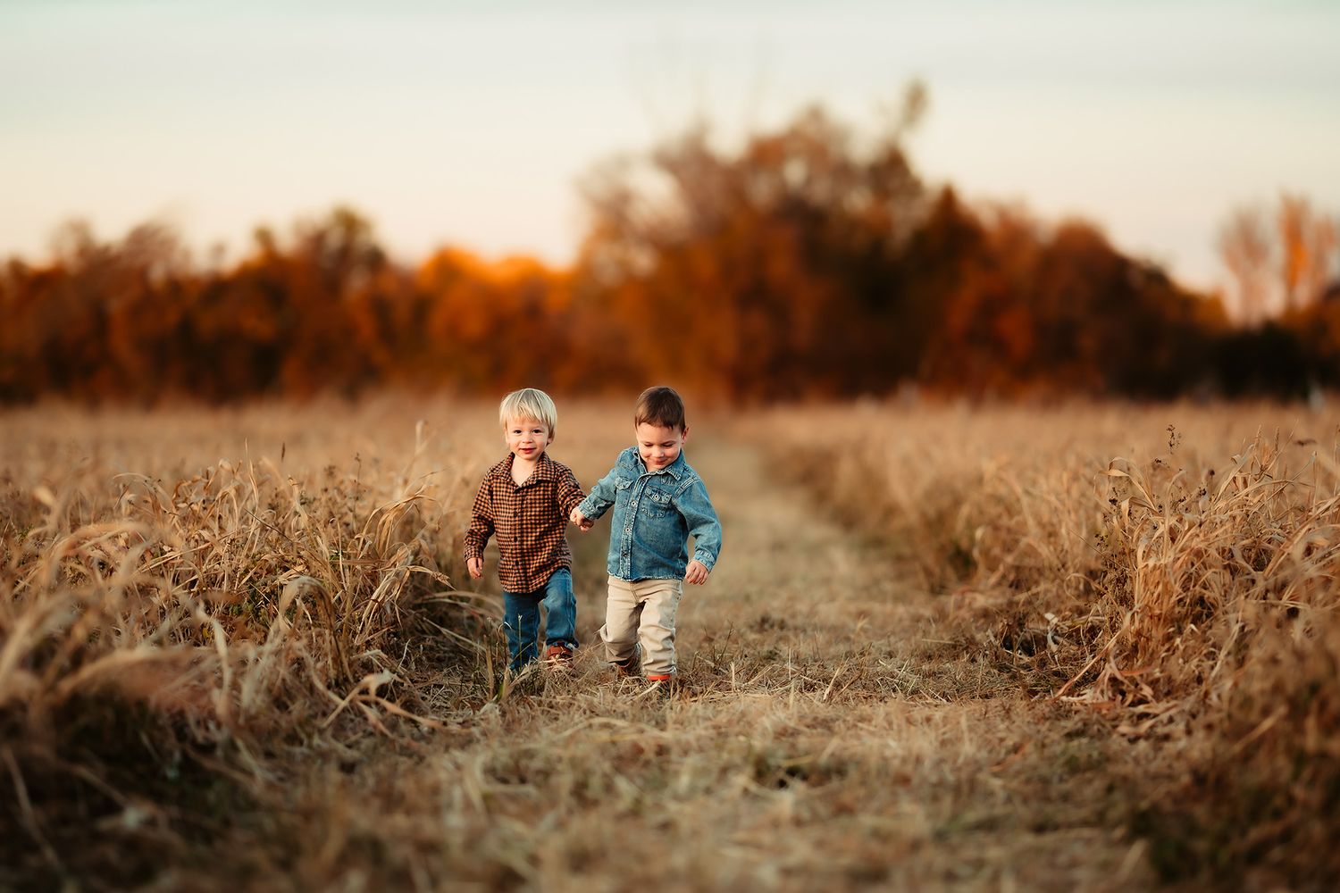 Two young boys running together through a golden field at sunset with autumn trees in the background.
