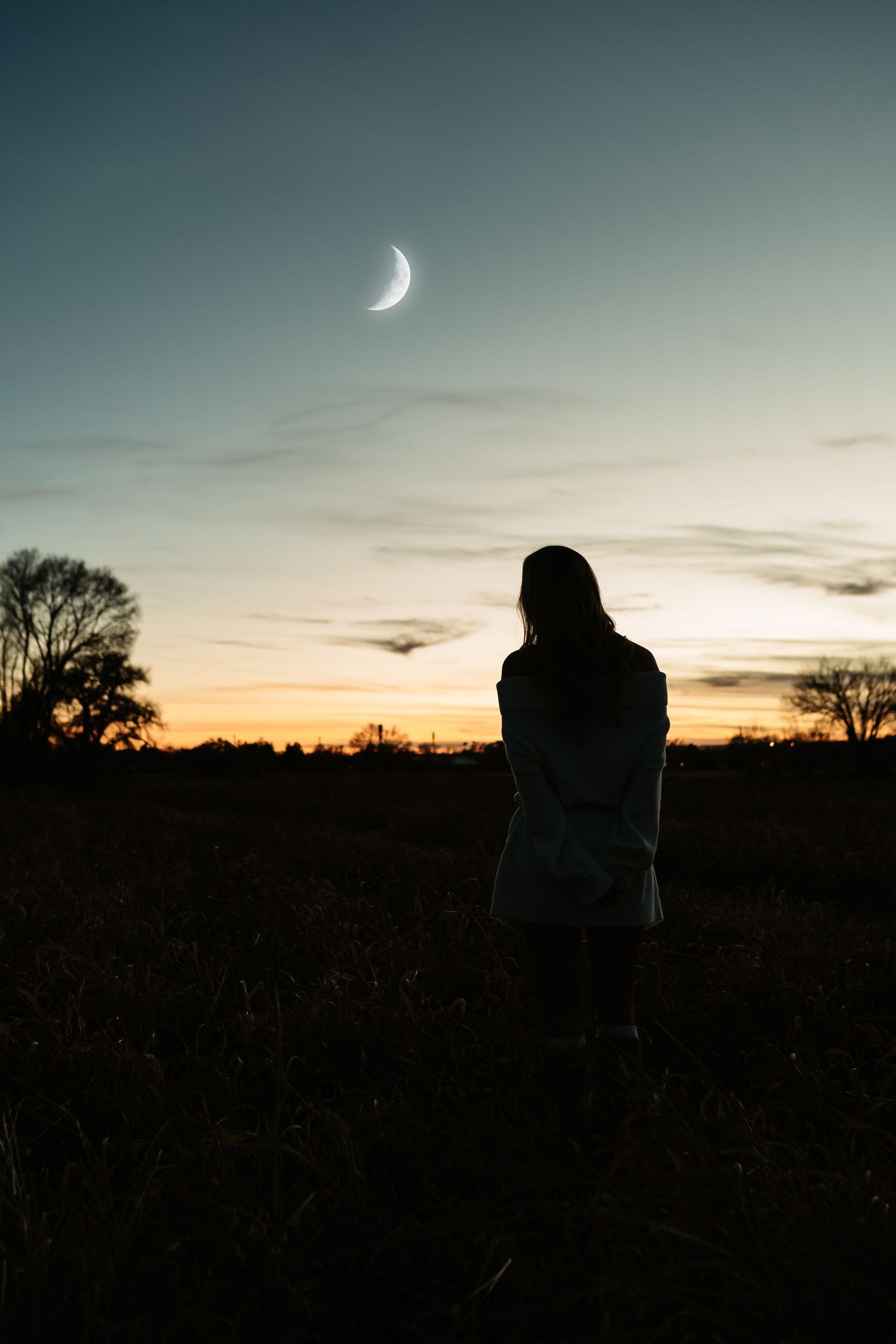 A silhouetted figure stands against a dusky sky with a crescent moon and bare trees in the background.