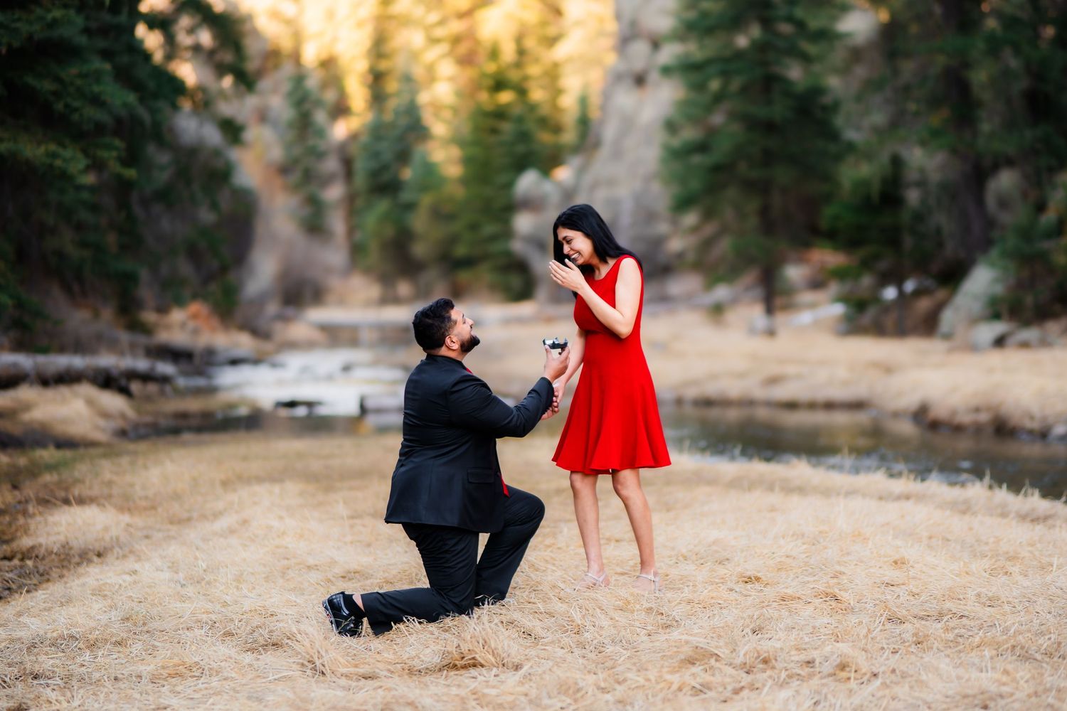 A romantic proposal moment at sunset in a mountain valley with evergreen trees in the background.