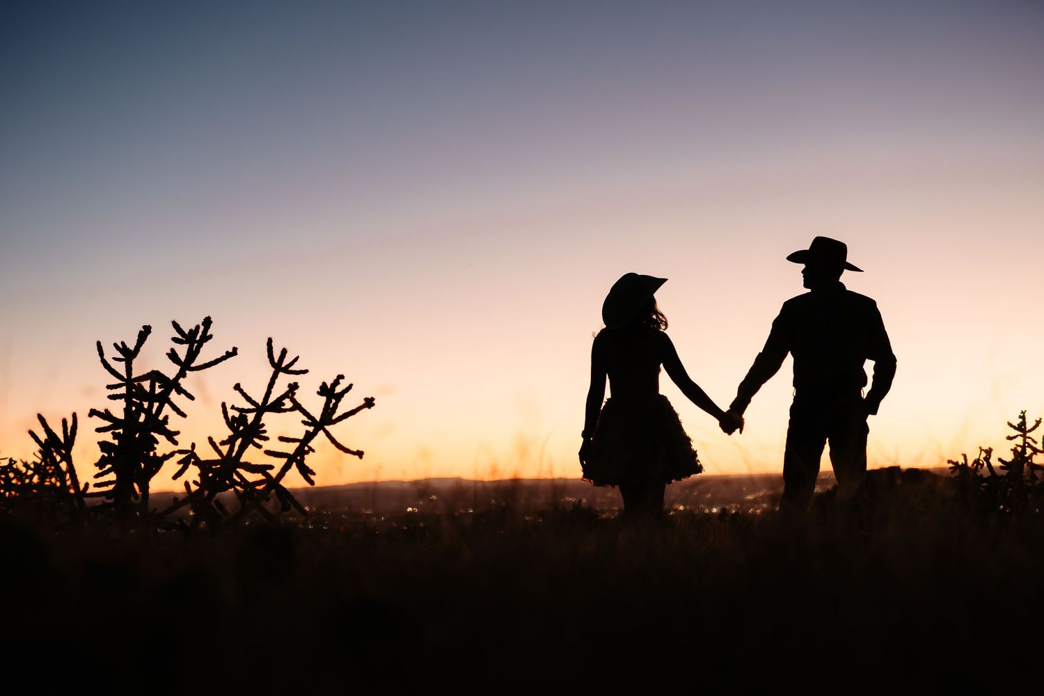 Silhouette of couple holding hands at sunset against golden sky with plants in foreground.