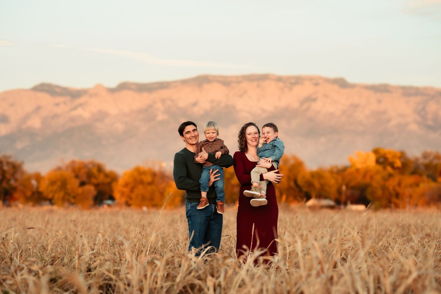 Family wearing coordinated burgundy and navy outfits pose together in a golden wheat field at sunset.