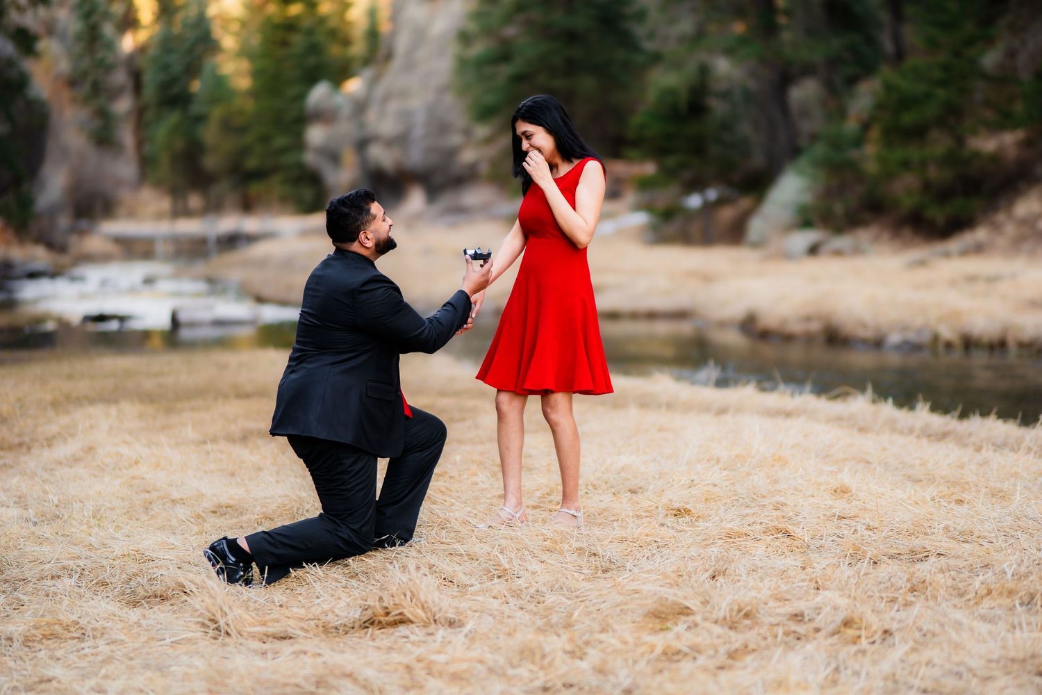 A proposal scene on a lakeshore with pine trees as a person in black kneels before someone in red.