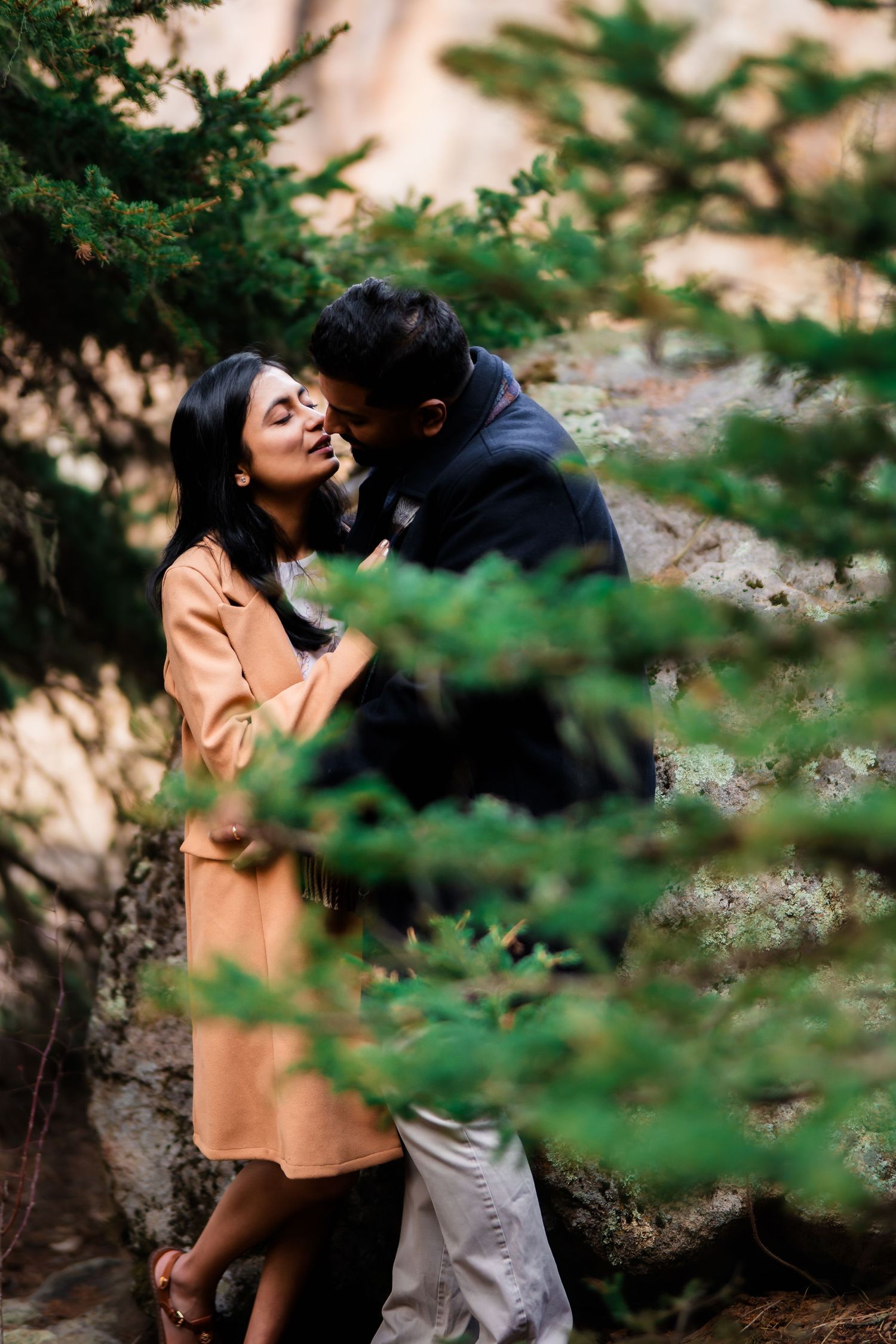 A tender moment between a couple among pine trees with soft lighting filtering through.