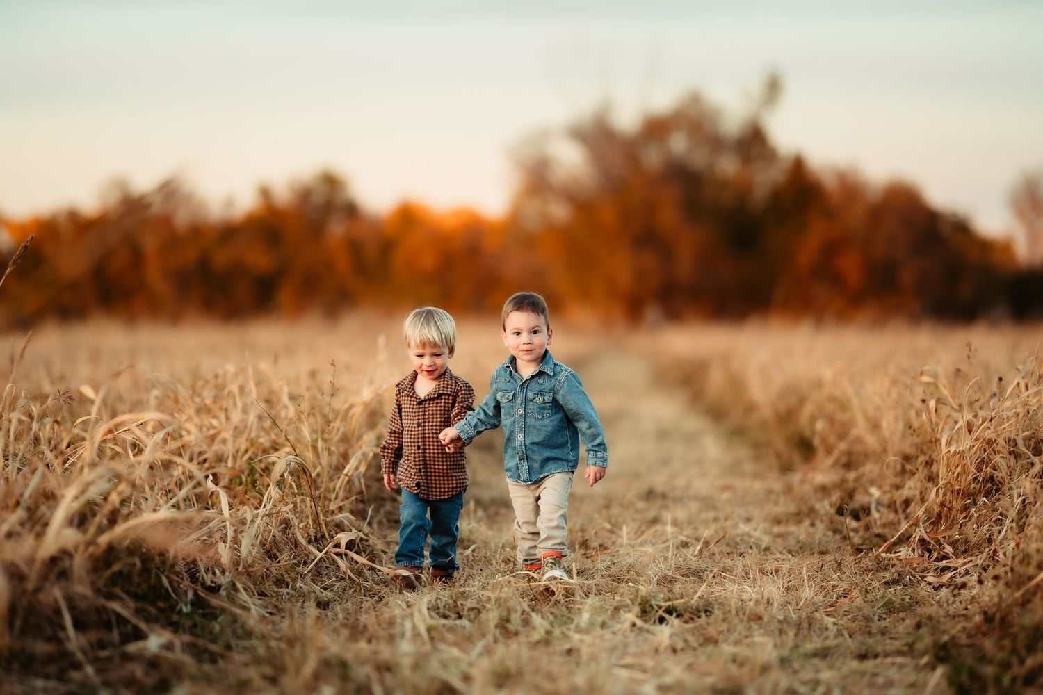 Children play together in a golden autumn field during sunset while wearing coordinating blue and gray outfits.
