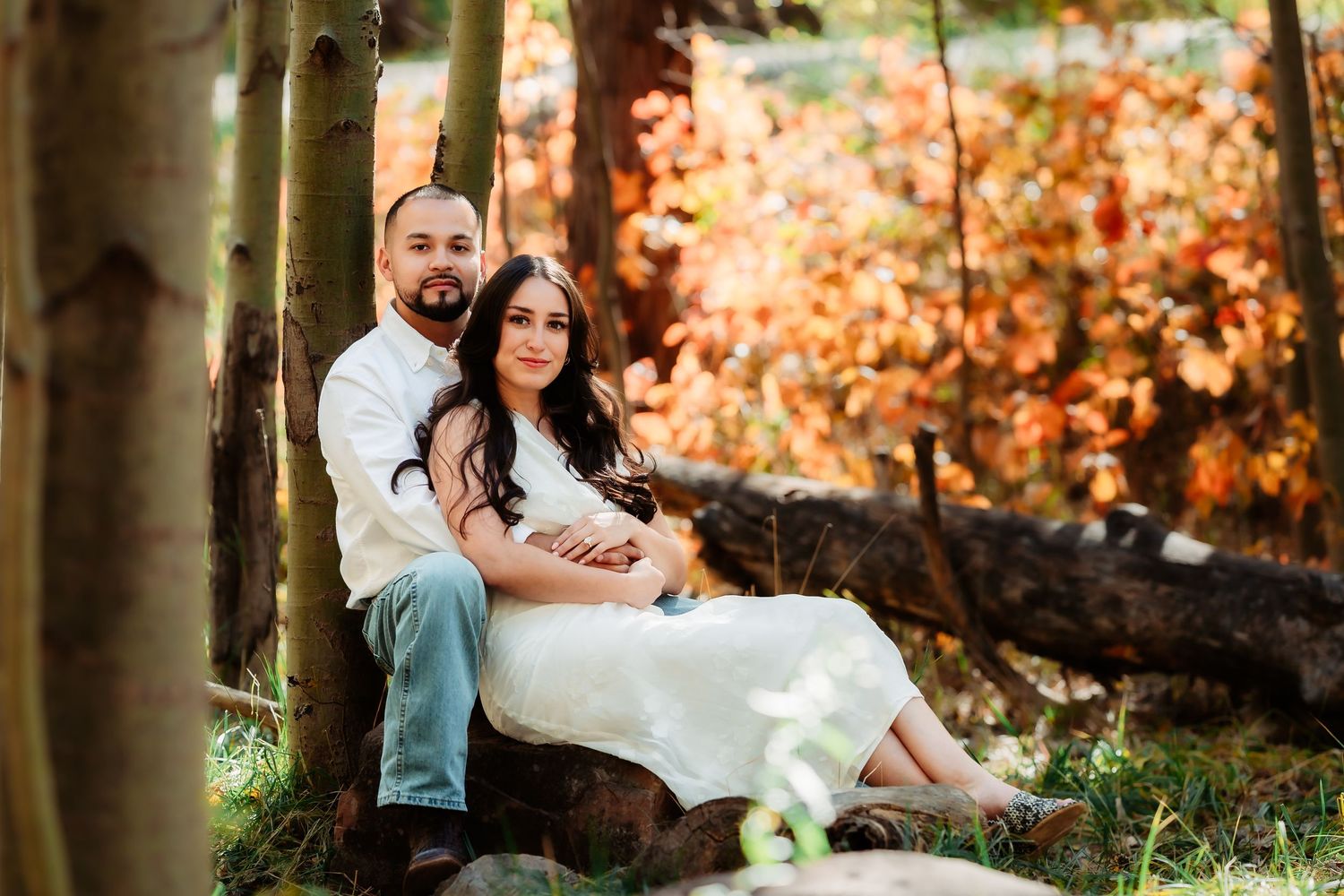 A couple in wedding attire sits together on a fallen tree trunk in a sunlit autumn forest setting.