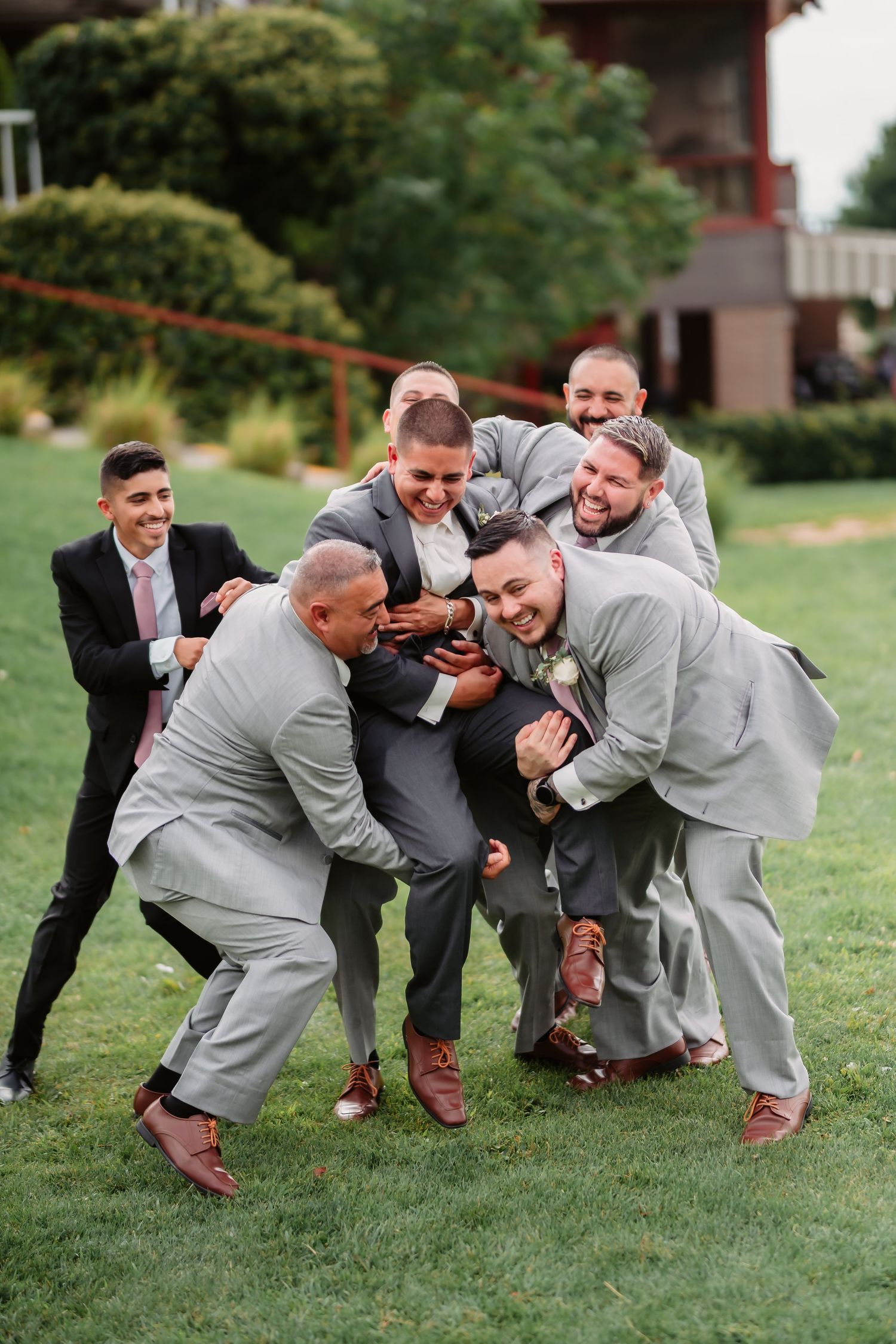 Groomsmen in gray suits playfully wrestle and laugh together on a grassy lawn.
