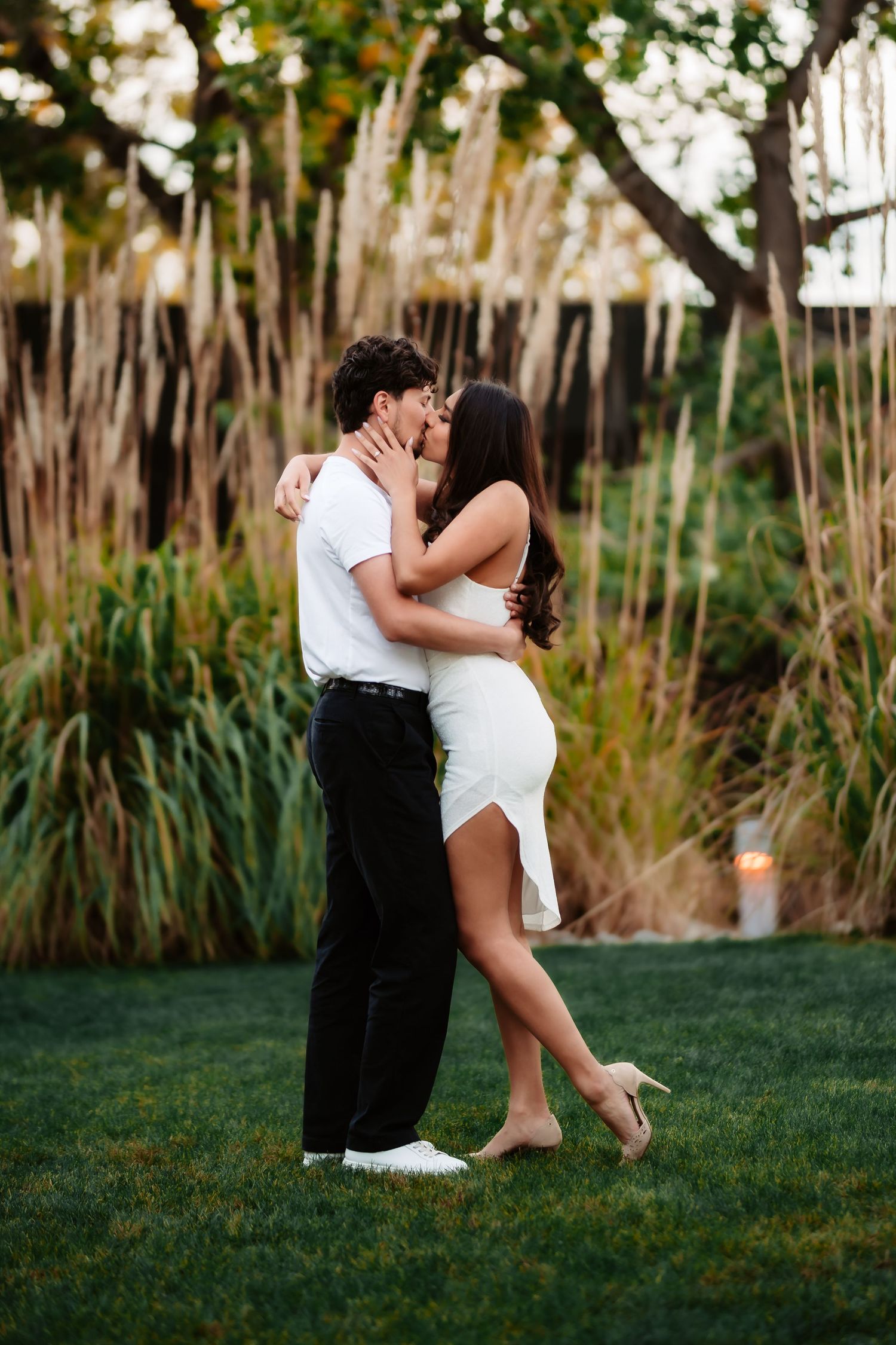 A romantic couple embraces and kisses in a garden setting with tall ornamental grasses in the background at sunset.