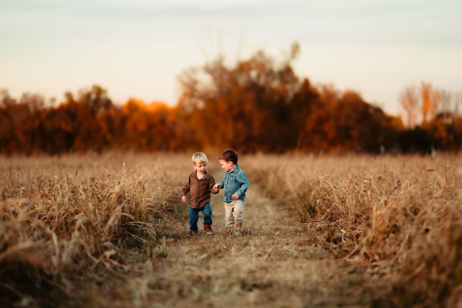 A family walks together through a golden autumn field at sunset with warm lighting and tall grass.
