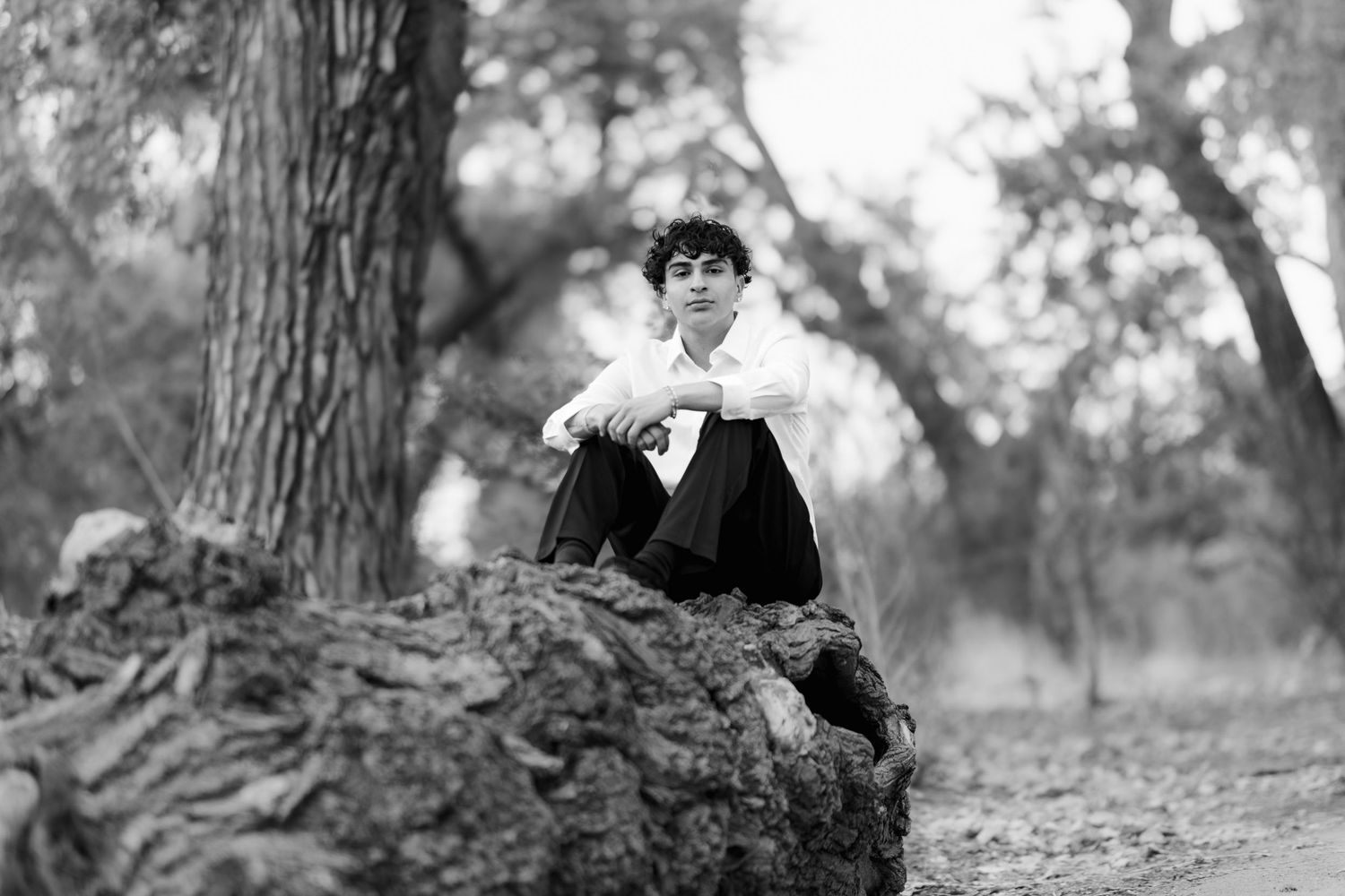 Black and white artistic shot of someone perched on a fallen tree trunk in nature.